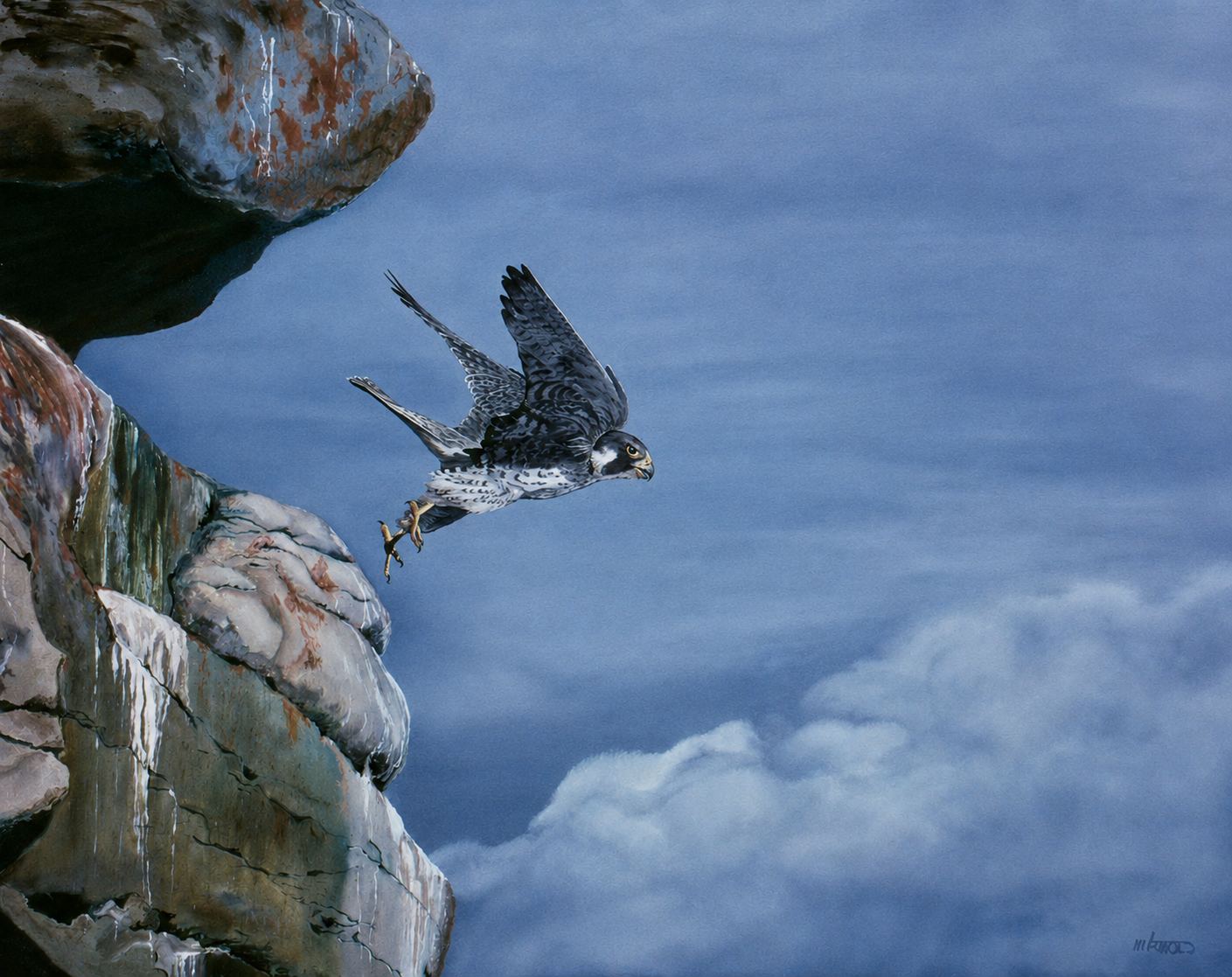 Peregrin Falcon - 3-2-1 Take Off.png