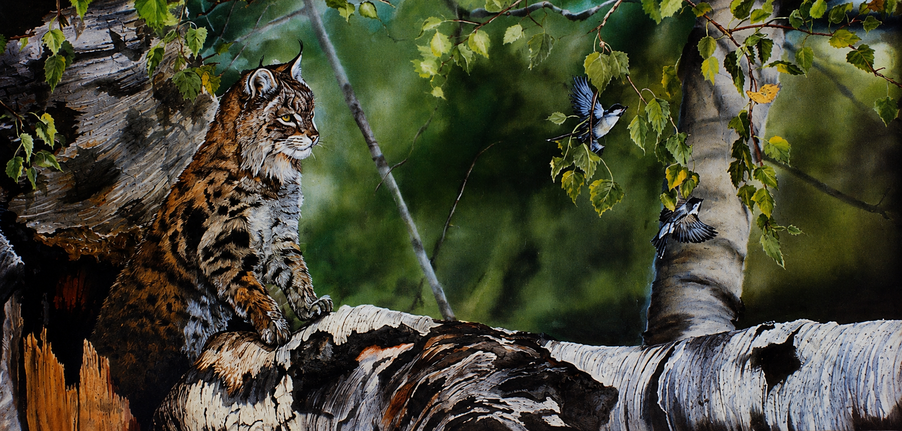 Bobcat - Stealthy Stalker.png