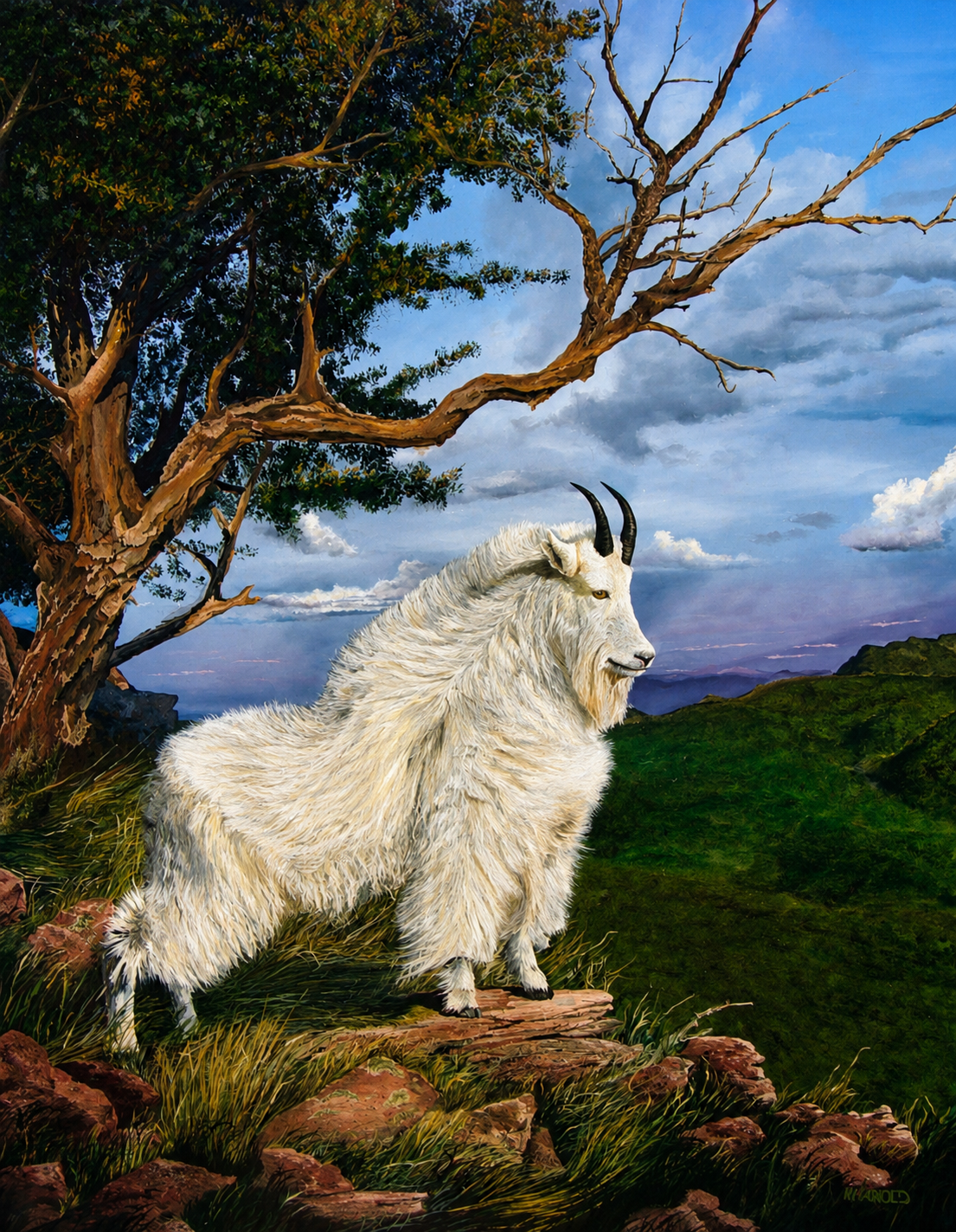 Mountain Goat - Spring Break.png