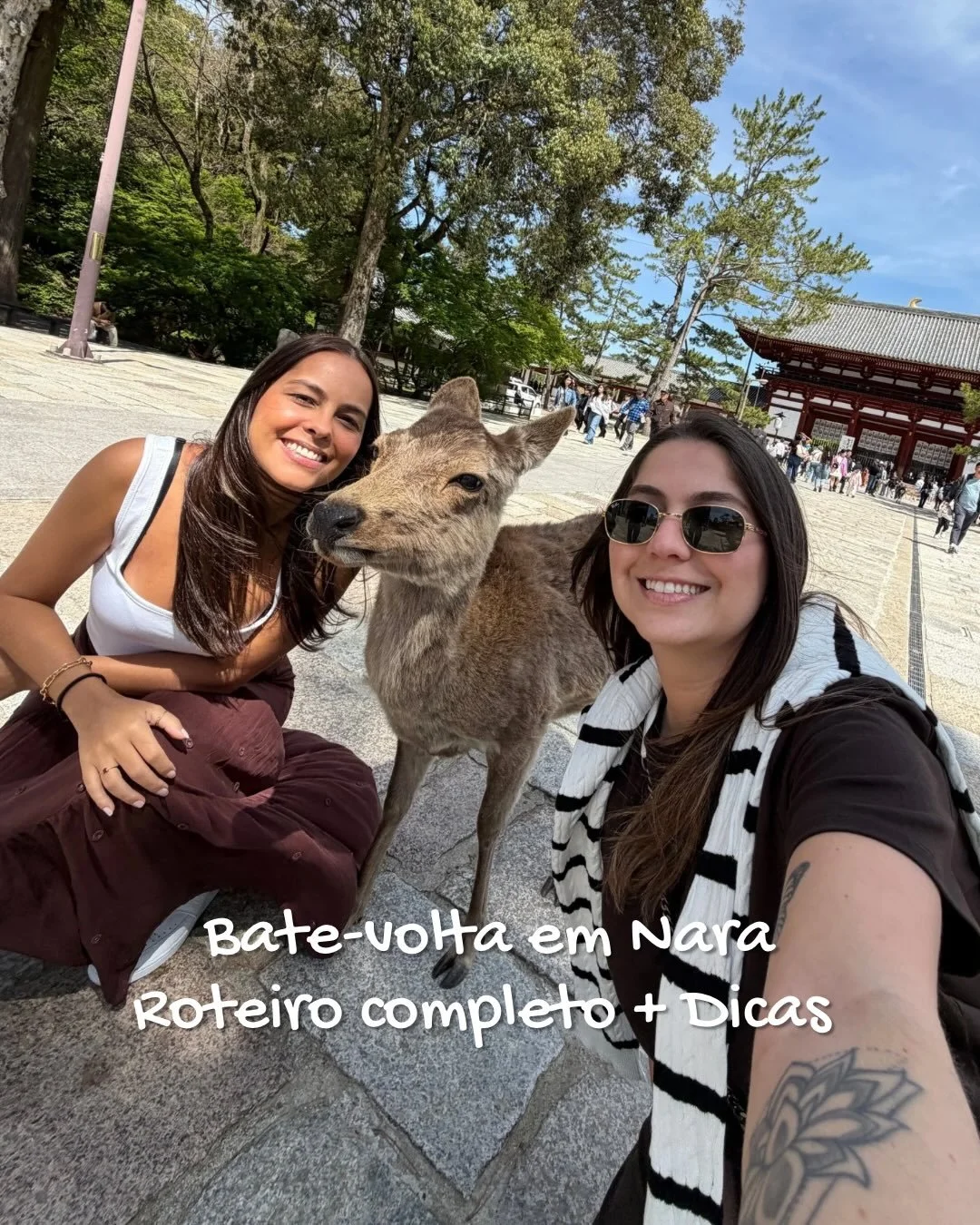 🇧🇷 {Dicas do Jap&atilde;o} Fazer um bate-volta em Nara, &eacute; um programa imperd&iacute;vel! A cidadezinha hist&oacute;rica &eacute; famosa pelos templos antigos e pelos mais de 1,000 cervos que vivem livremente pelas suas ruas. 👉🏼 Arrasta pra