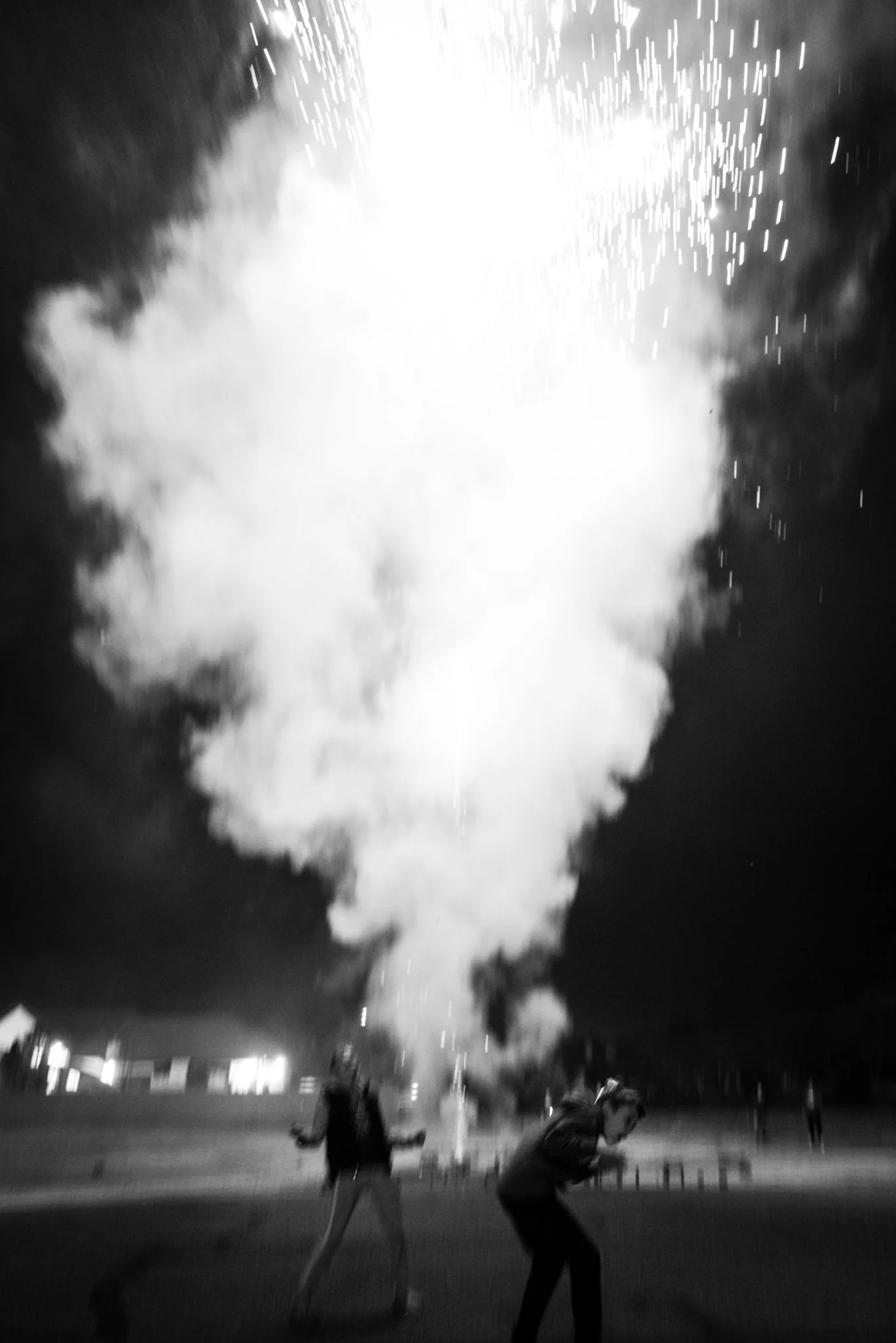 DO01046916.jpg