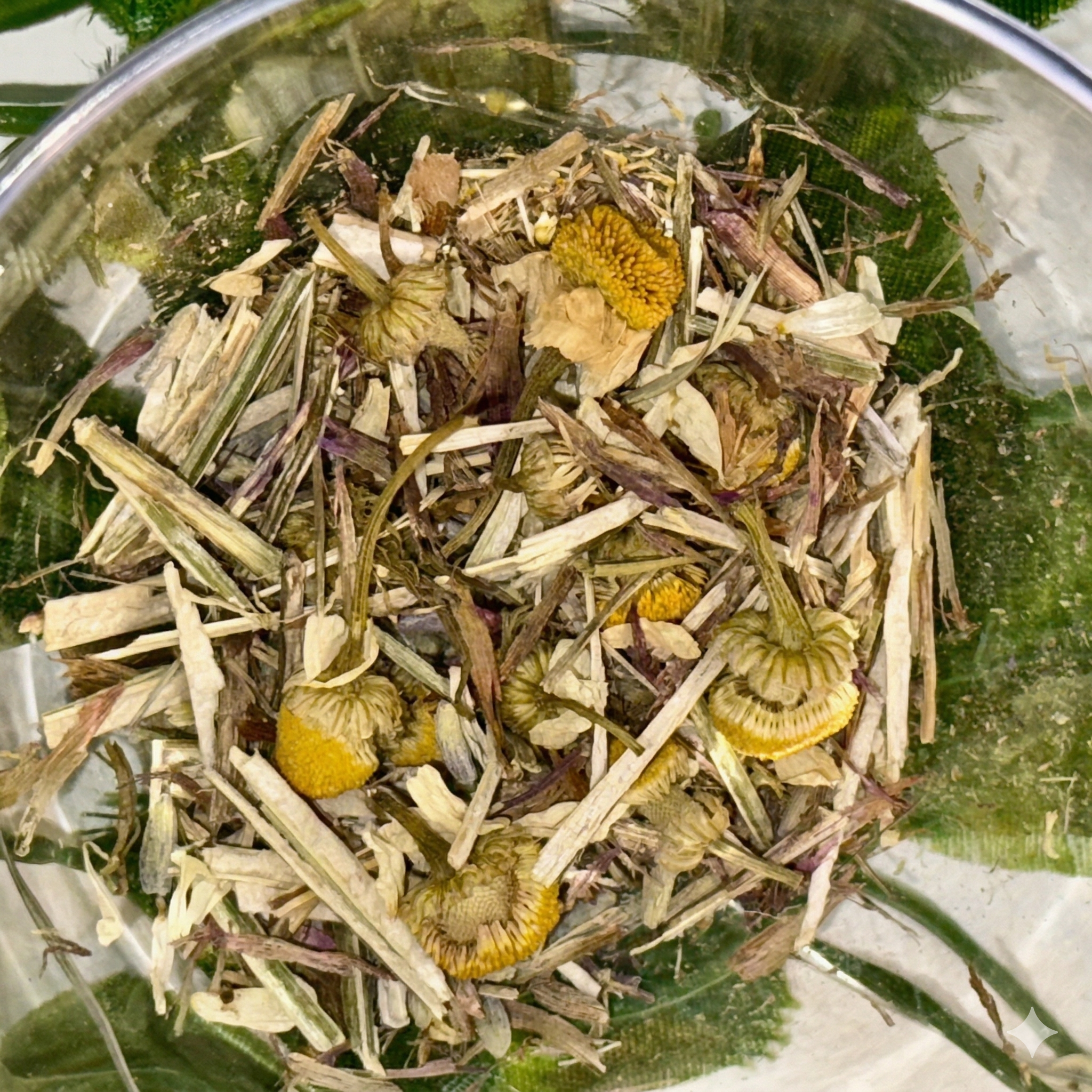 Nature’s Dream | Sleep Blend