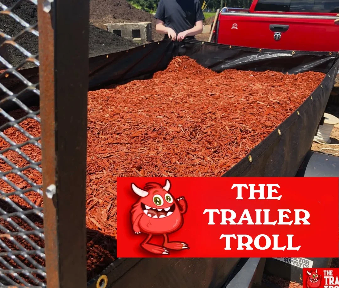 Untitled Project - 2026-03-18T120347.552.jpg