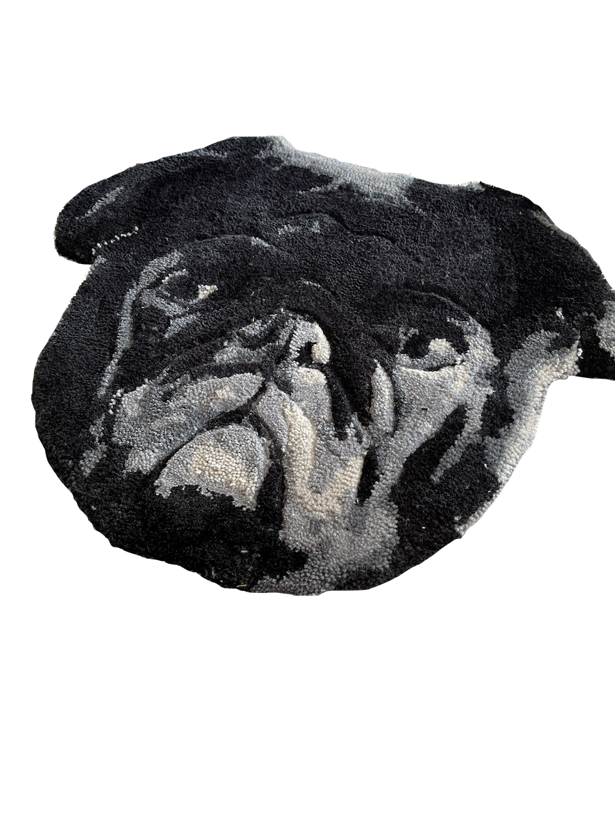 IMG_3240.png