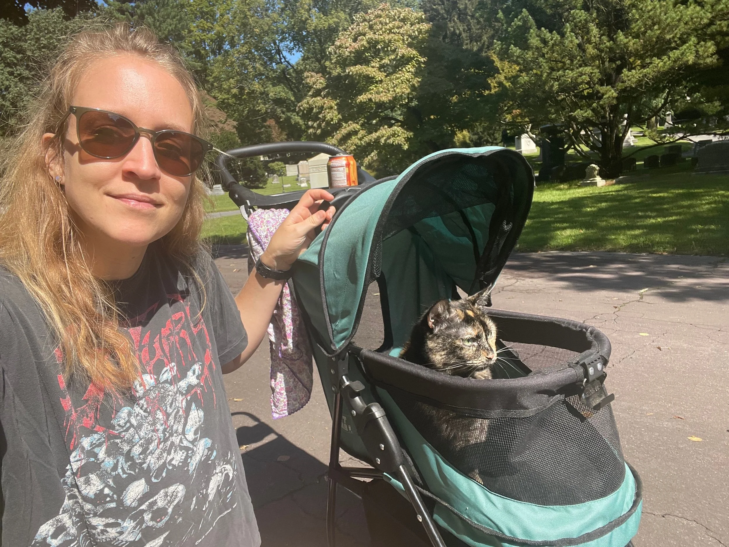 Person with sunglasses pushing a cat in a stroller outside in a sunny park.