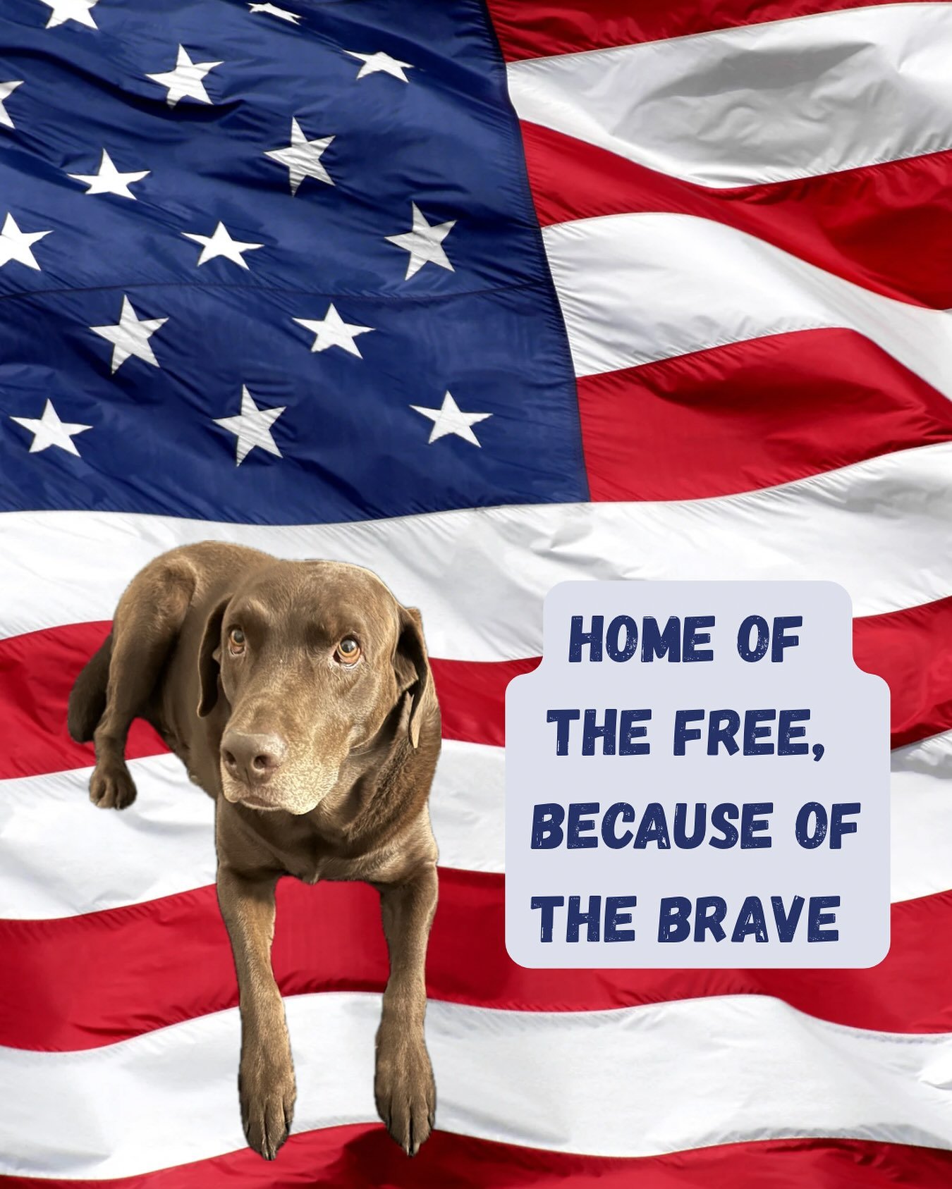 🌺🇺🇸 Remembering and Honoring 🇺🇸🌺 
This Memorial Day, we pause to reflect on the bravery and sacrifice of those who served our nation. Let us honor the heroes who made the ultimate sacrifice for our freedoms. Take a moment to remember, to celebr