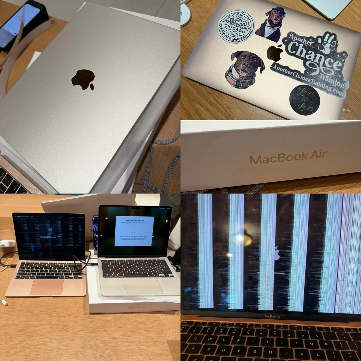 The MacBook Saga - An End Of An Era

My 2020 Rose Gold MacBook took a dive this week. Literally. A cat knocked it off a coffee table during a DOG&rsquo;s training session.  The irony.  On Monday the rainbow lines took over the screen, but I kept usin