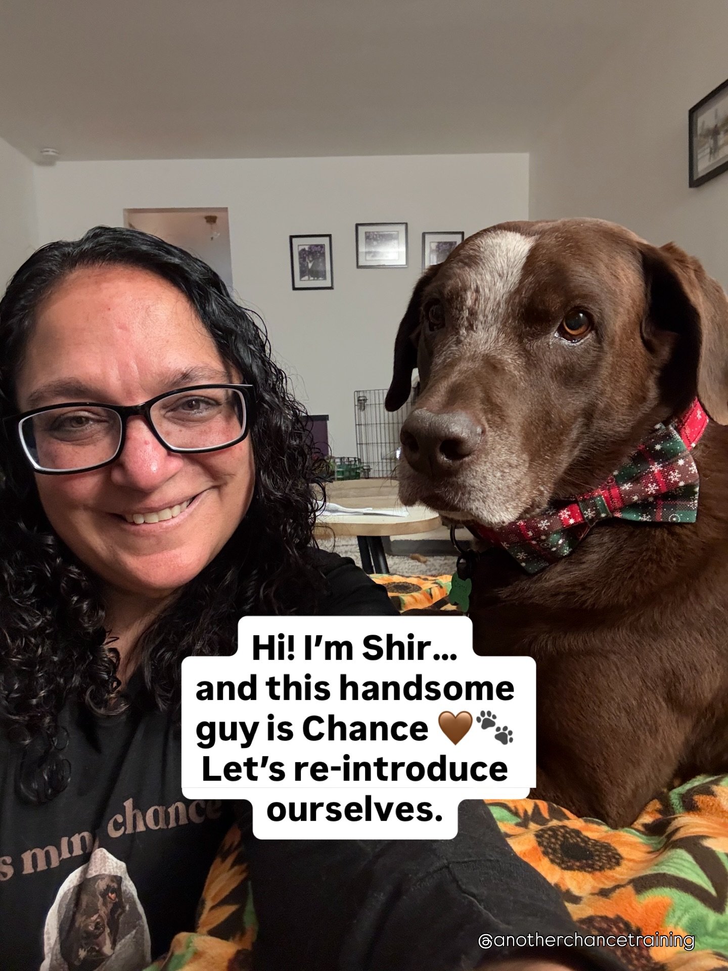 👋 Hi, I&rsquo;m Shir &hellip; and this is Chance!  We&rsquo;re here to bring joy, connection, and a little fun into your scroll today 🐾✨

I&rsquo;m a dog trainer, small business owner, proud dog mom to a cancer warrior, and a passionate advocate fo