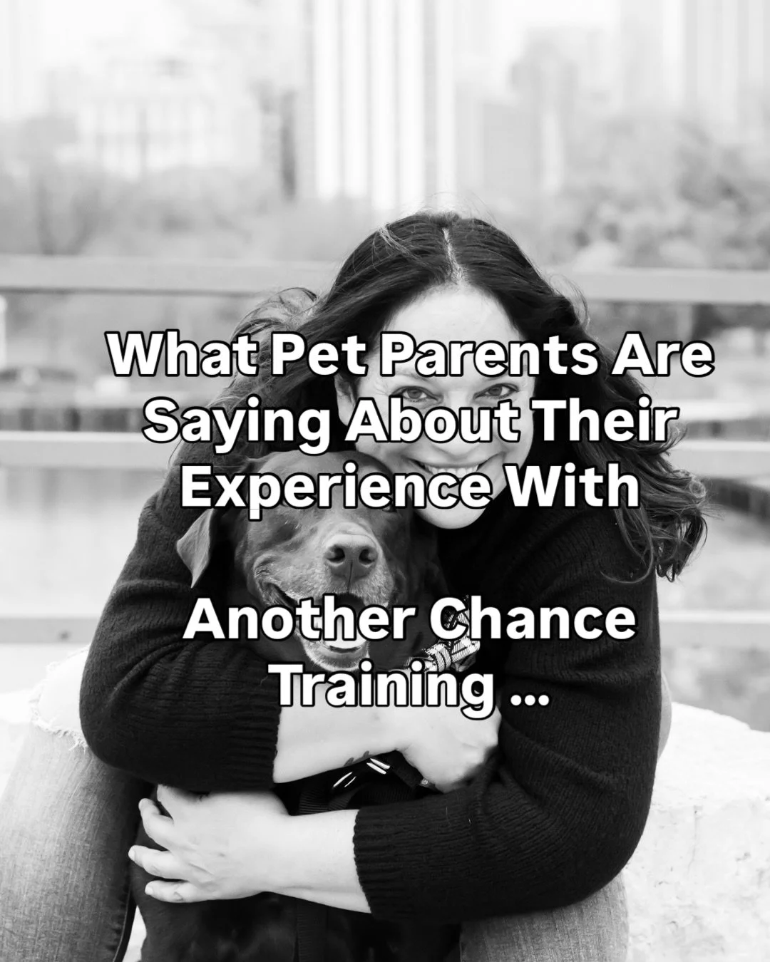 Honored to work with so many wonderful families across Chicagoland. Humbled to have earned over 100 five-star reviews ⭐️ ⭐️ ⭐️ ⭐️ ⭐️ 

Thank You for trusting Another Chance Training with your lifestyle training journeys!

#chicagoland #dogs #chicagod