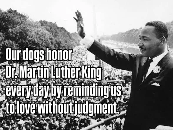 Dr. King taught us that everyone deserves dignity, kindness, and fairness.

Our dogs remind us of that every day&hellip;they don&rsquo;t judge, they don&rsquo;t divide, they just love. 

Today we honor Dr. Martin Luther King Jr. by choosing compassio