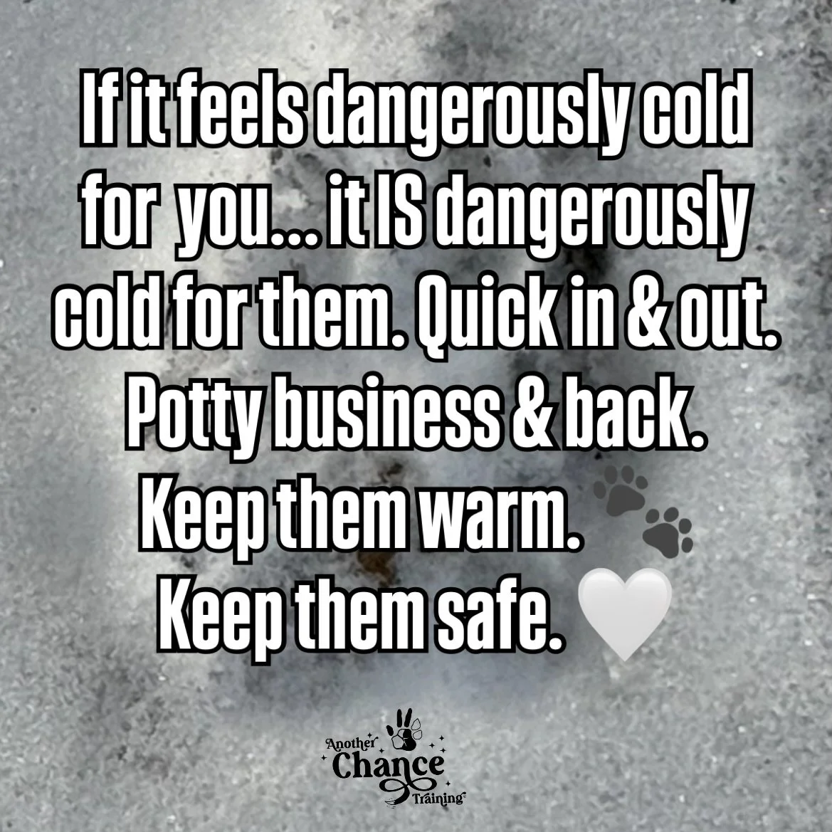 Chicago&rsquo;s polar vortex this week means dangerously low temps and wind chills. 🥶 Keep outdoor trips quick (potty business only) and make sure pets have warm shelter.

Watch for danger signs:

Hypothermia: shivering, lethargy, weakness, confusio