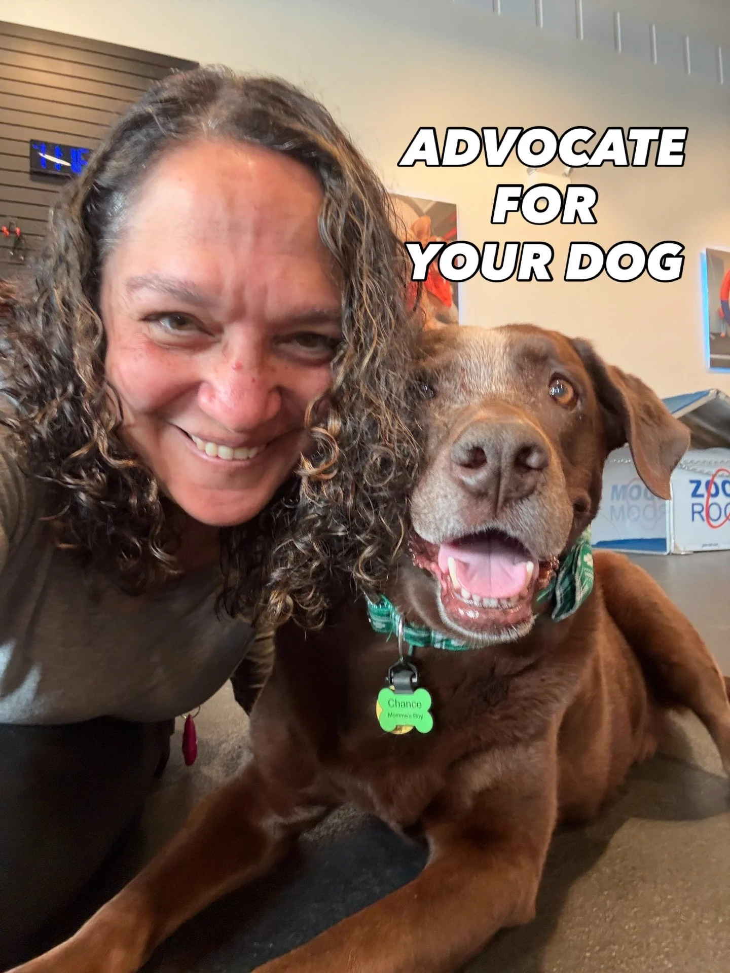 👉This is your reminder to advocate for your dog.

Ask questions.
Trust your gut.
Step in when something doesn&rsquo;t feel right.

No one knows your dog the way you do.
No one is responsible for protecting them the way you are.

Next week, I&rsquo;l