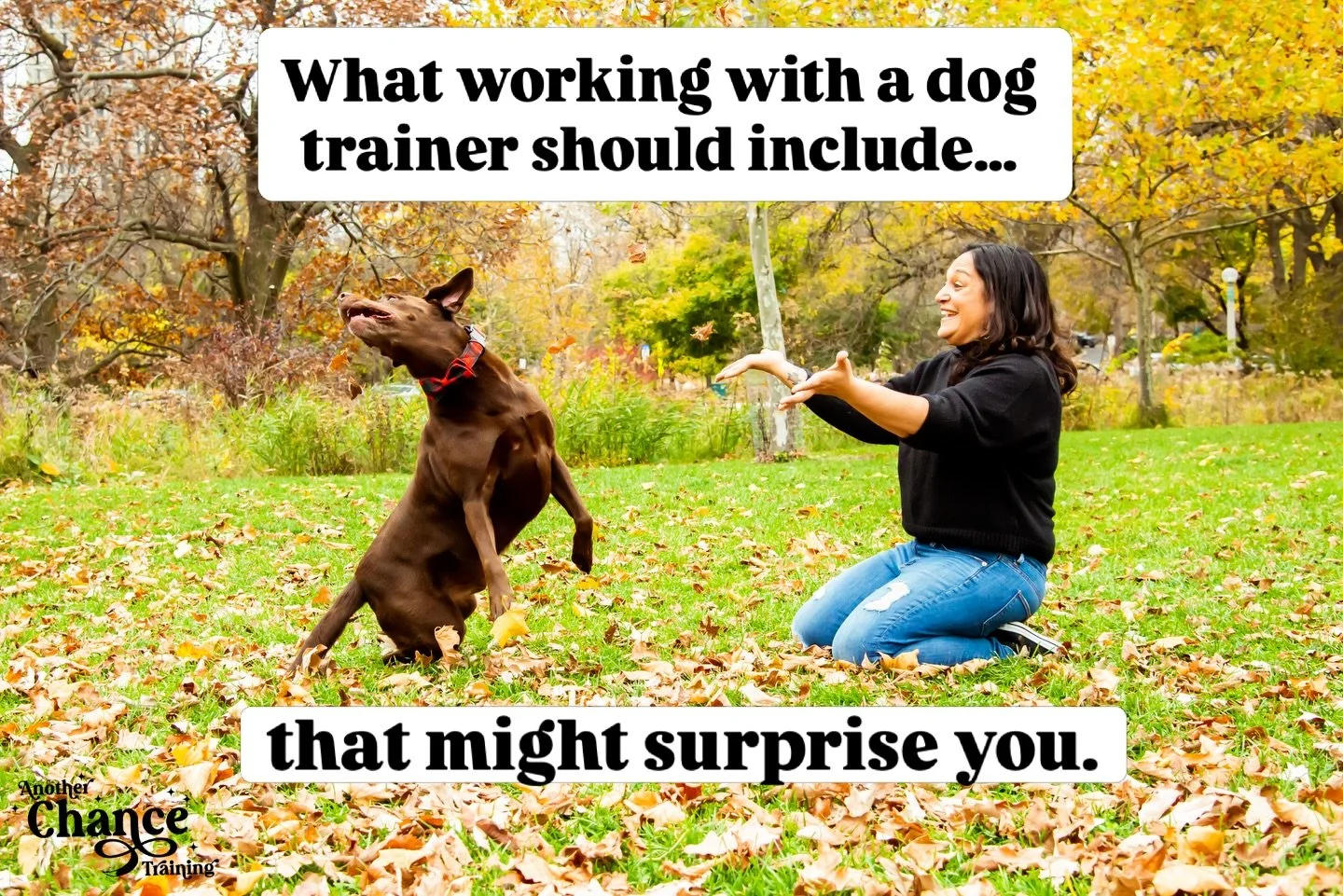 ✨ Partnership is at the heart of what we do. ✨

#anotherchancetraining #dogtrainingtips #dogparents #dogperson #dogsofinstagram