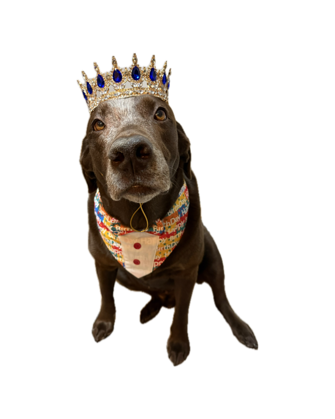 Chance's 10th Birthday Celebration!