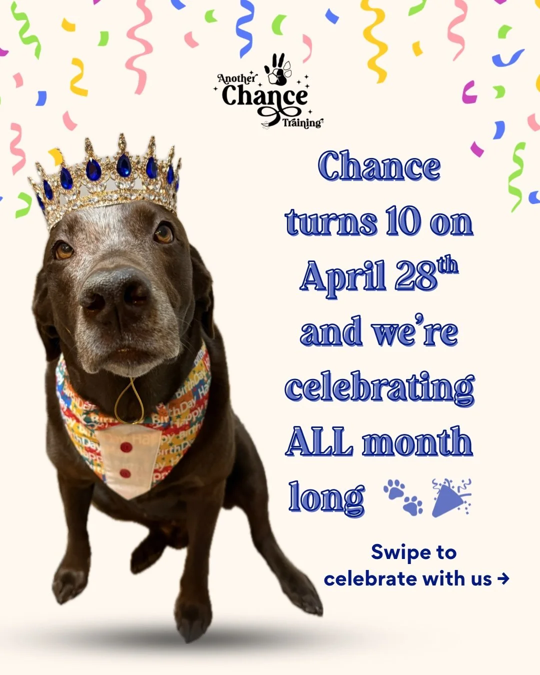 Chance turns 10 this month 🥹

And if you know us&hellip; you know we don&rsquo;t do anything halfway.

So we&rsquo;re celebrating ALL April long with some of our favorite people, places, and things, and we&rsquo;re bringing you along for it ! 🎉

Th