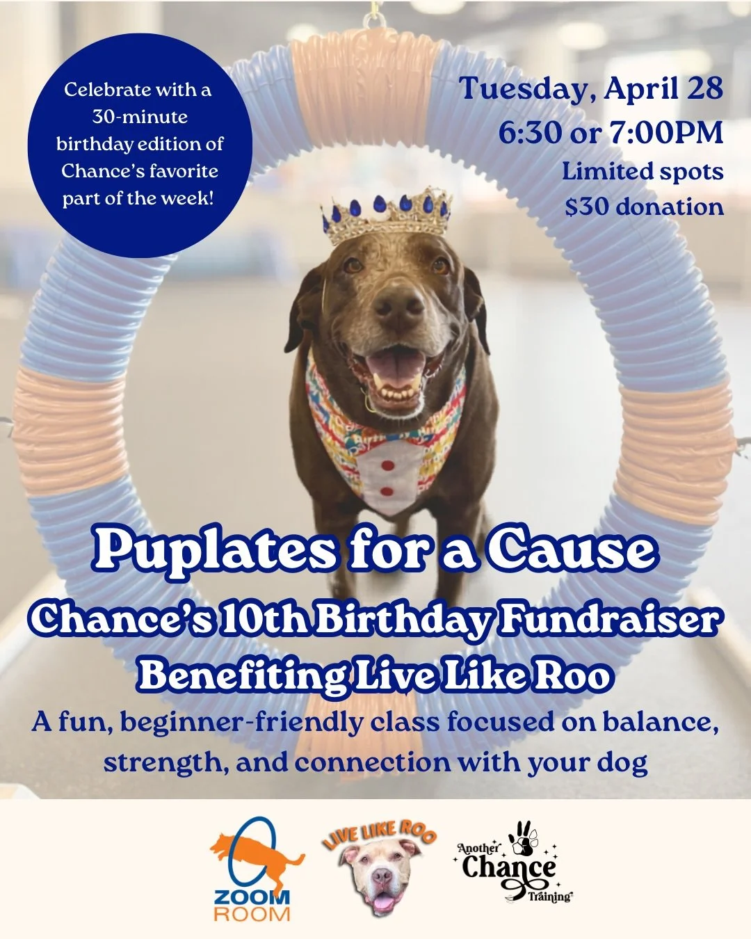 🎉 Celebrating Chance&rsquo;s 10th Birthday! 🎉

🐾 Puplates for a Cause! 🐾

Chance&rsquo;s 10th birthday is on Tuesday, April 28, and we&rsquo;re teaming up with Zoom Room in Bucktown @zoomroomchi for a special 30-minute birthday edition of Chance&