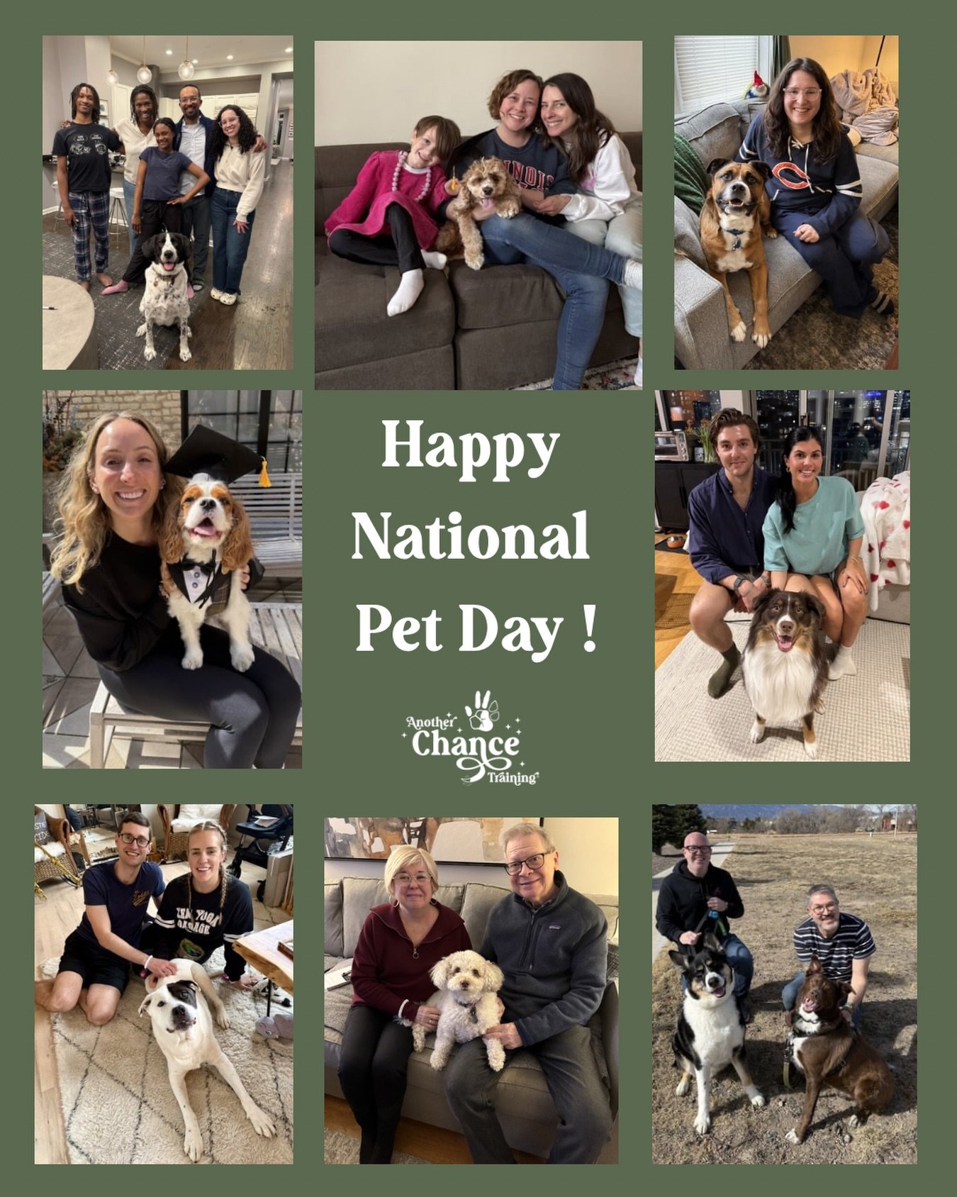 Happy National Pet Day 🤍🐾

Just a small glimpse of the many incredible humans, families, and dogs I&rsquo;ve been so honored to work with.

To my Another Chance Training family&hellip;
thank you for your continued trust, your openness, and your com