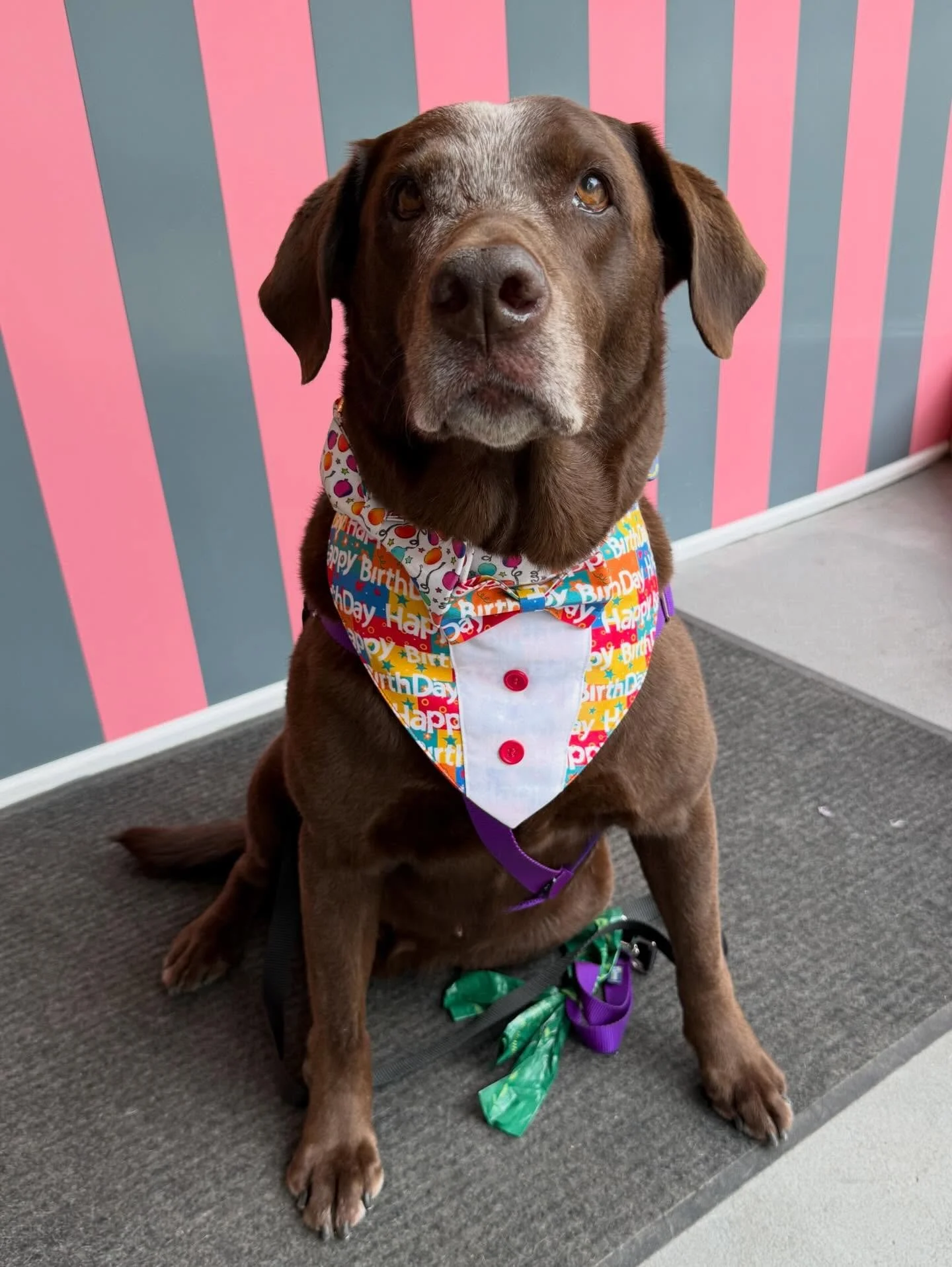 Old school style post. Social media used to be so simple. You&rsquo;d share a few photos, people liked, commented, and that was it. No pressure, no strategy. Just I wanted to share this and nothing more.

Now it&rsquo;s all about did you pick the rig