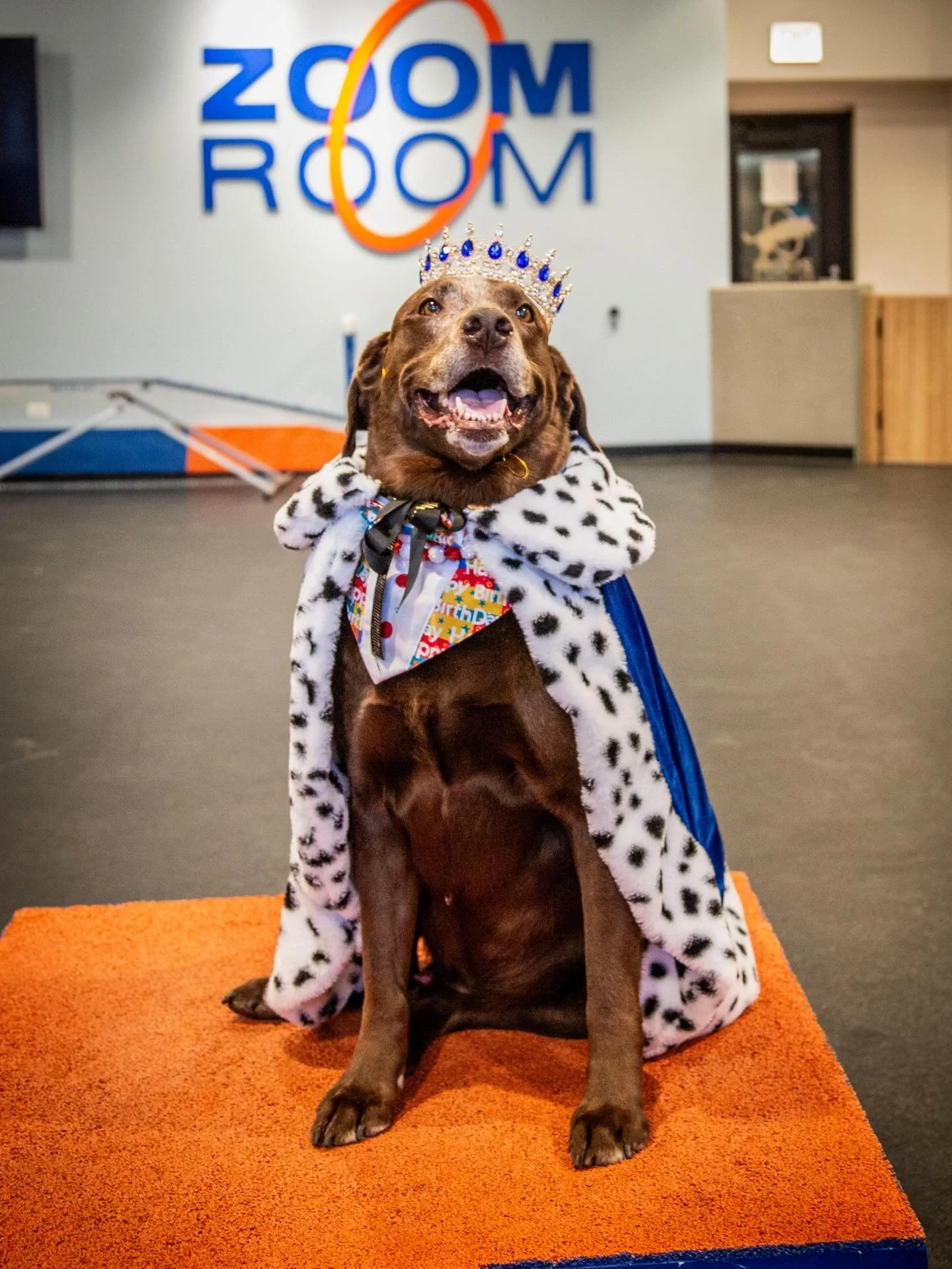 10 years.

And somehow&hellip; it still doesn&rsquo;t feel like enough time with you.

Saturday night was everything we could have ever hoped for and more. 

Seeing so many people show up to celebrate you&hellip; it meant more than I can put into wor