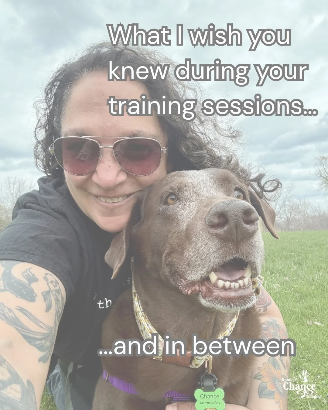 I&rsquo;m on your side 

#dogtrainer #dogsofinstagram #dogbehavior #anxiousdogs #lifewithdogs