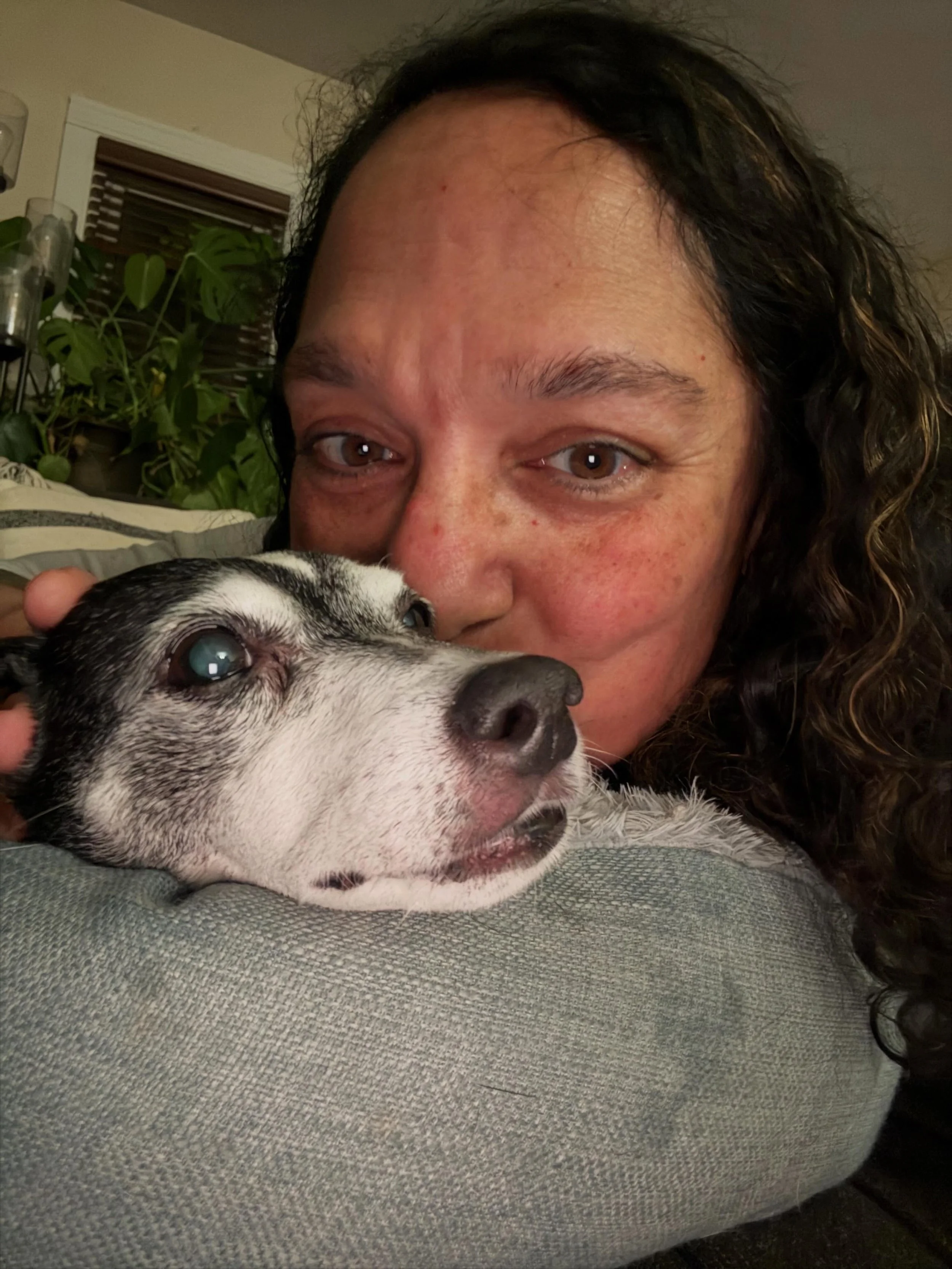 Sometimes you&rsquo;re still awake at 4am because a few hours earlier you helped a family say goodbye to their best friend. 

Saying goodbye to a family&rsquo;s best friend will forever be the most painful part of being a behavioral trainer. 

There&