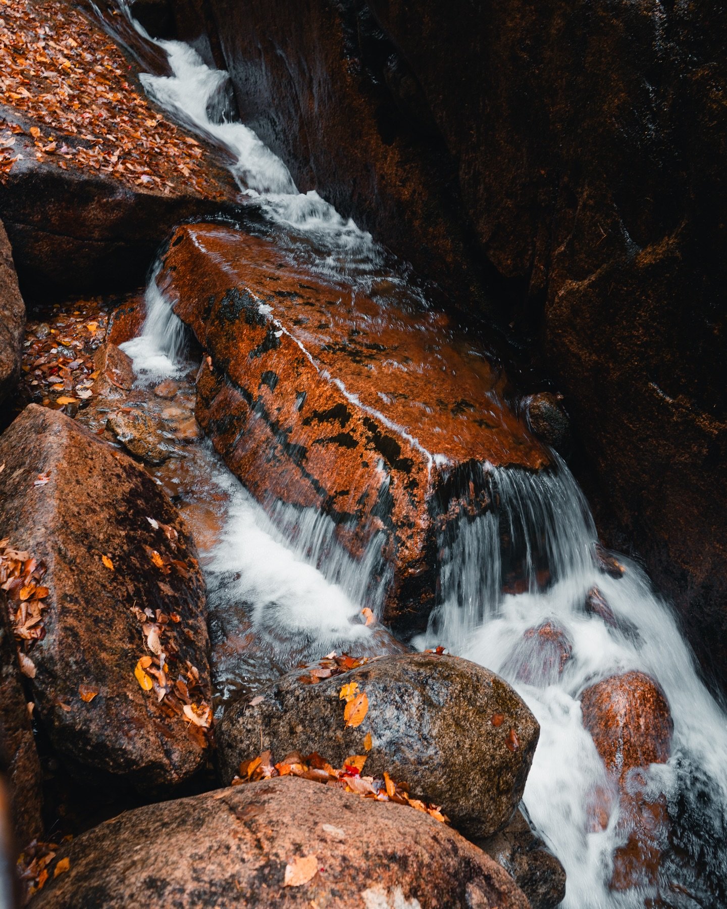Another autumn shot from Flume Gorge, NH. 
October | 2024
________
📹 Shot on Sony A7iv. 
#october #flumegorge #austinsullivanphotography #newhampshire