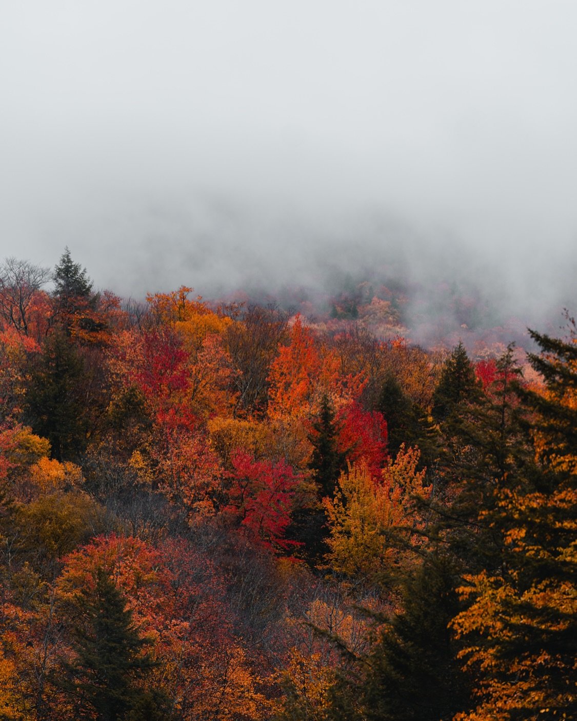 Autumn in New Hampshire. 
October | 2024.
________
📹 Shot on Sony A7iv.
#explorepage #photographer #autumn #landscape #fallfoliage #newhampshire #sonya7iv