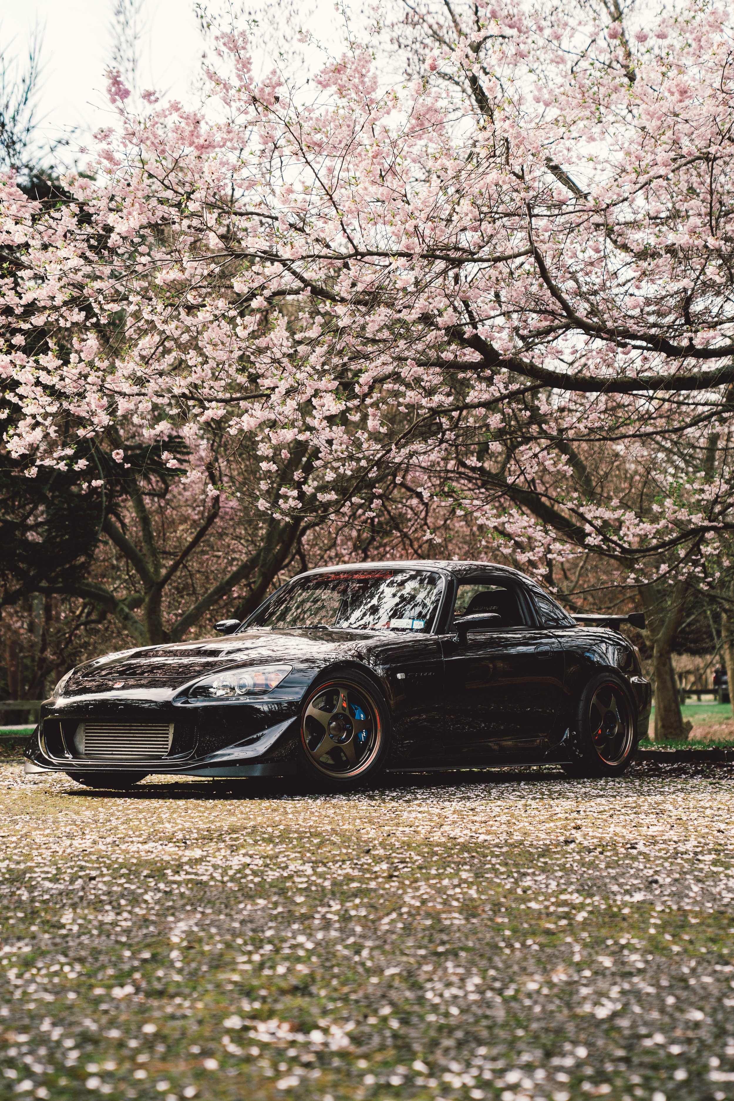 2026-04-18_S2000_Cherry_Blossom_26spring-0017.jpg