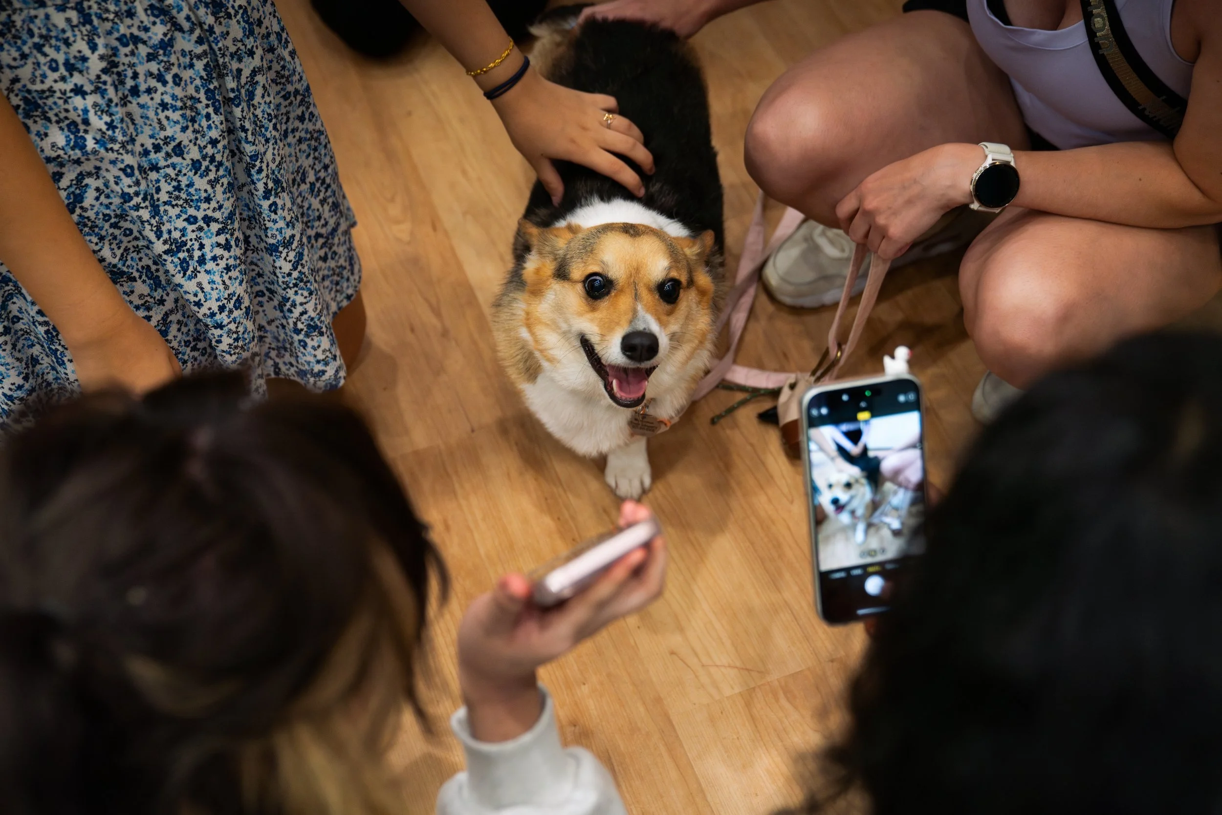 8-23-25_Meliora_Mindfulness_Therapy_Dog_Class_Council-GK-011.jpg