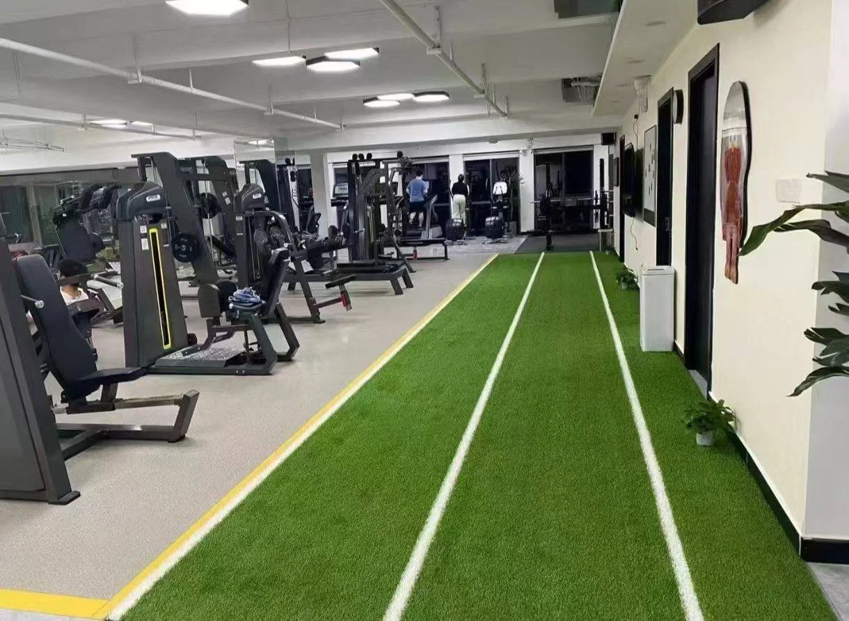 Gym/Sled Turf Singapore — The Rise of Synthetic Turf Lanes in Modern Functional Gyms