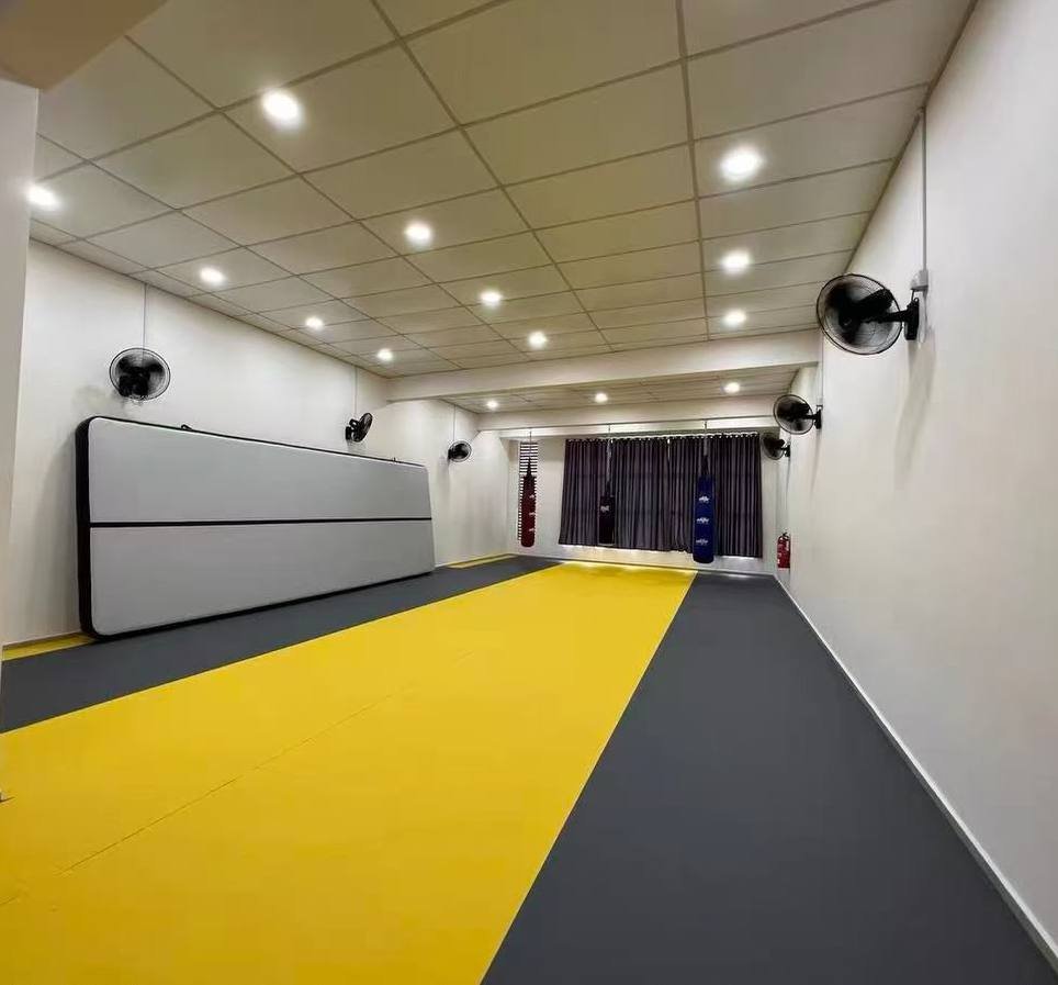 Armaguard Flex XPE Flooring &amp; Wall Padding for Gyms and Martial Arts Studios in Singapore