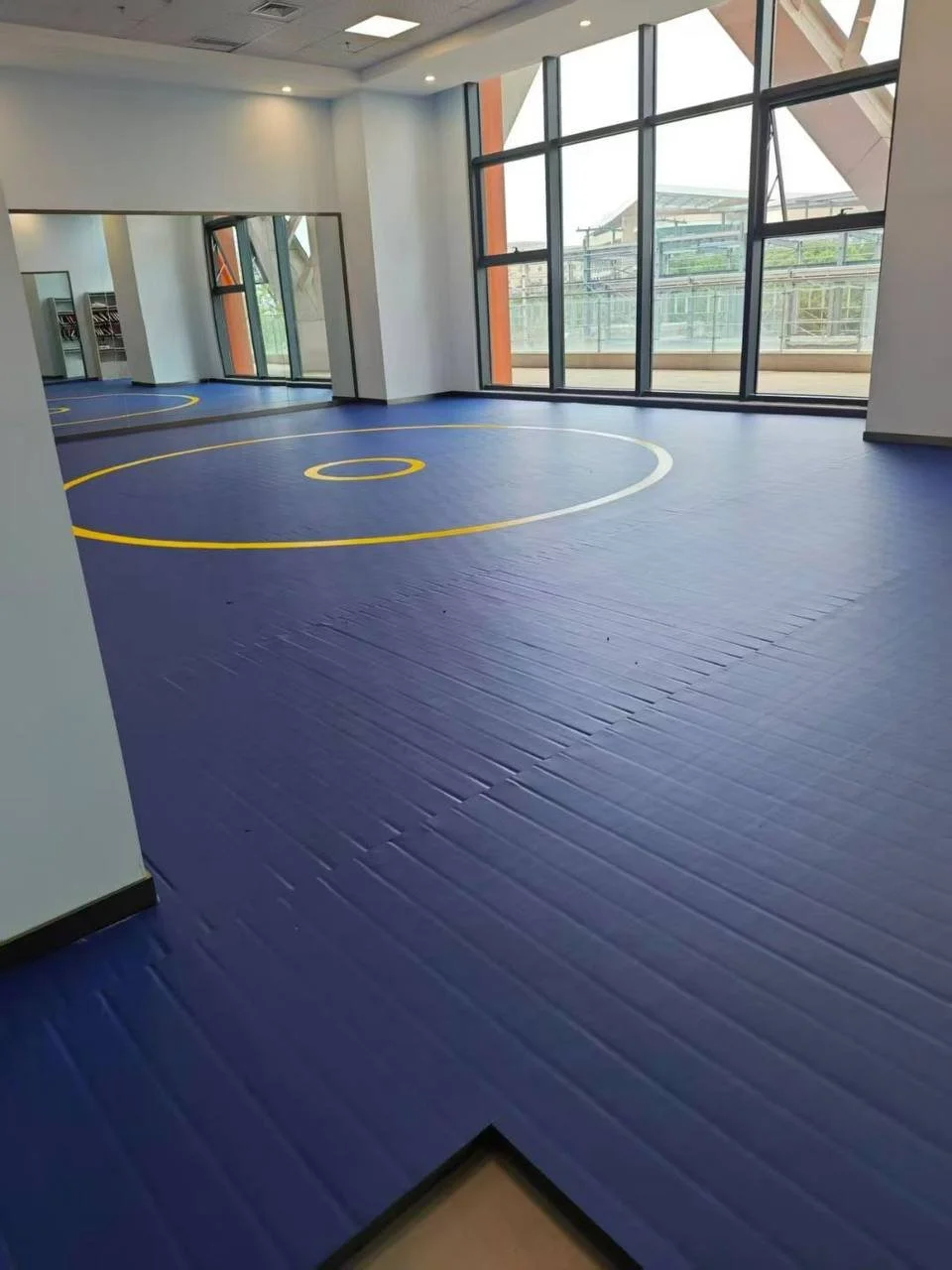 Gym flooring project case 50