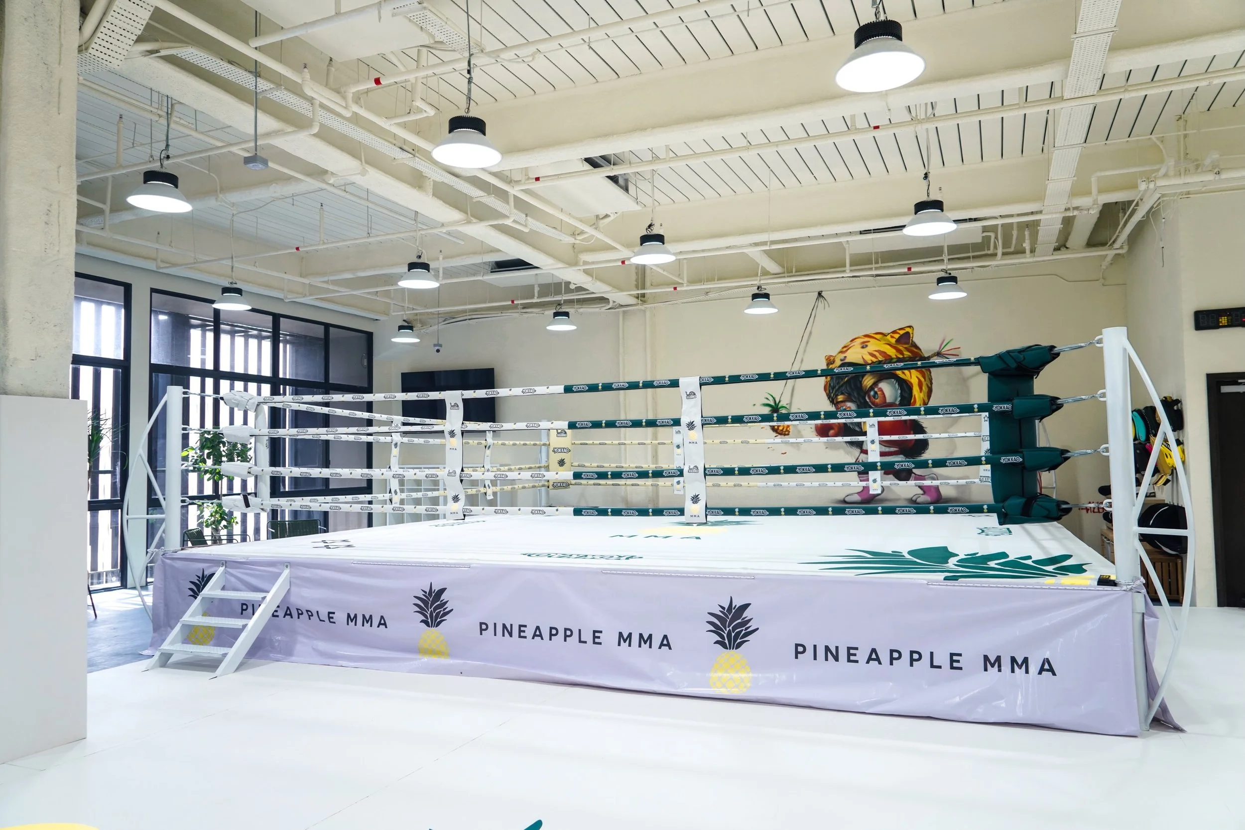 Boxing &amp; Muay Thai Ring Installation Singapore