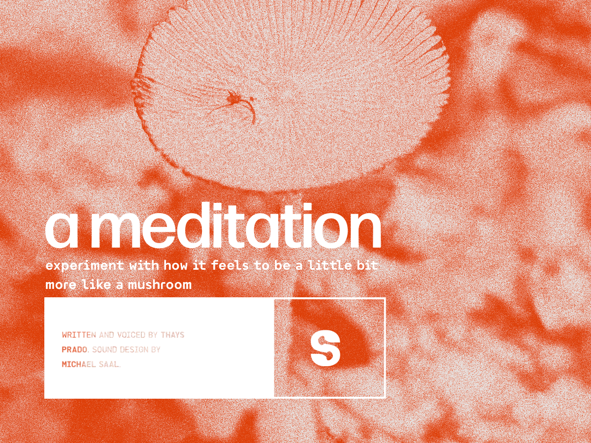 Sporesight meditation image