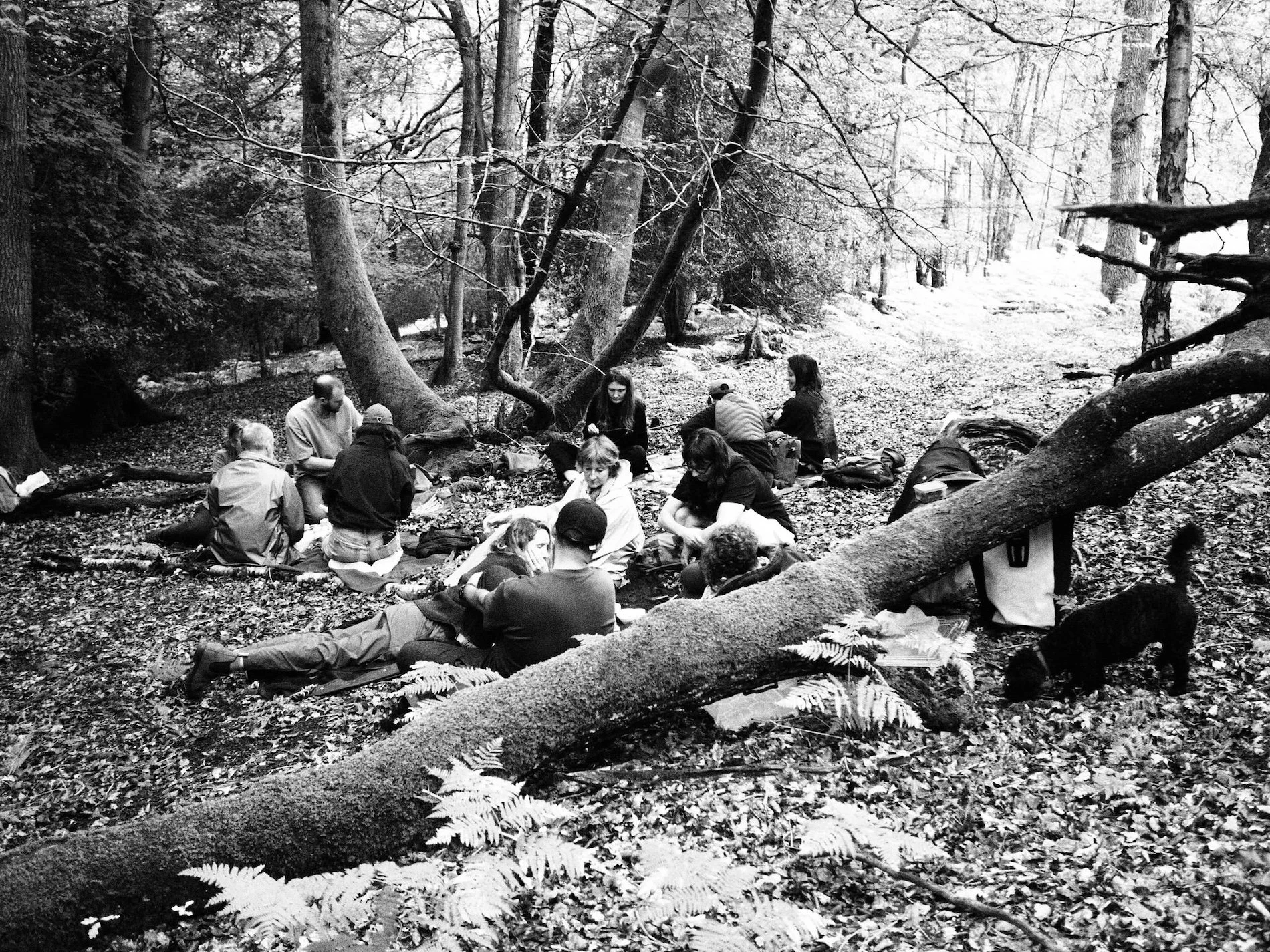 People sitting on the grass and listening to a speaker during an outdoor gathering and workshop - the Sporesight Decomposition Day - surrounded by trees and greenery.