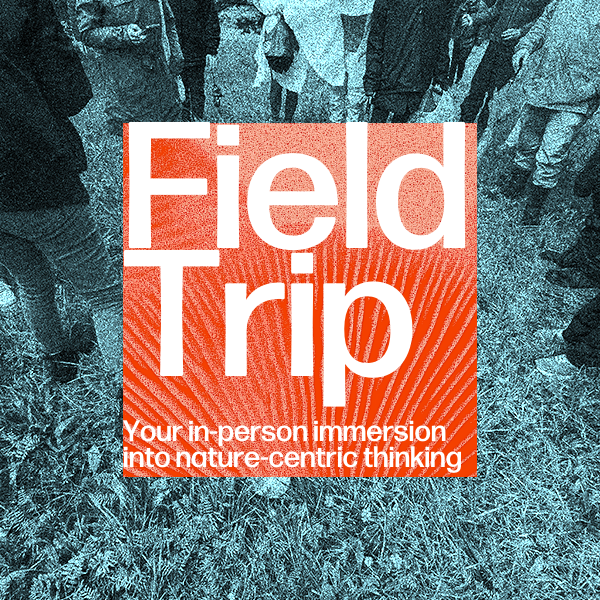 FAYF Field Trip.png