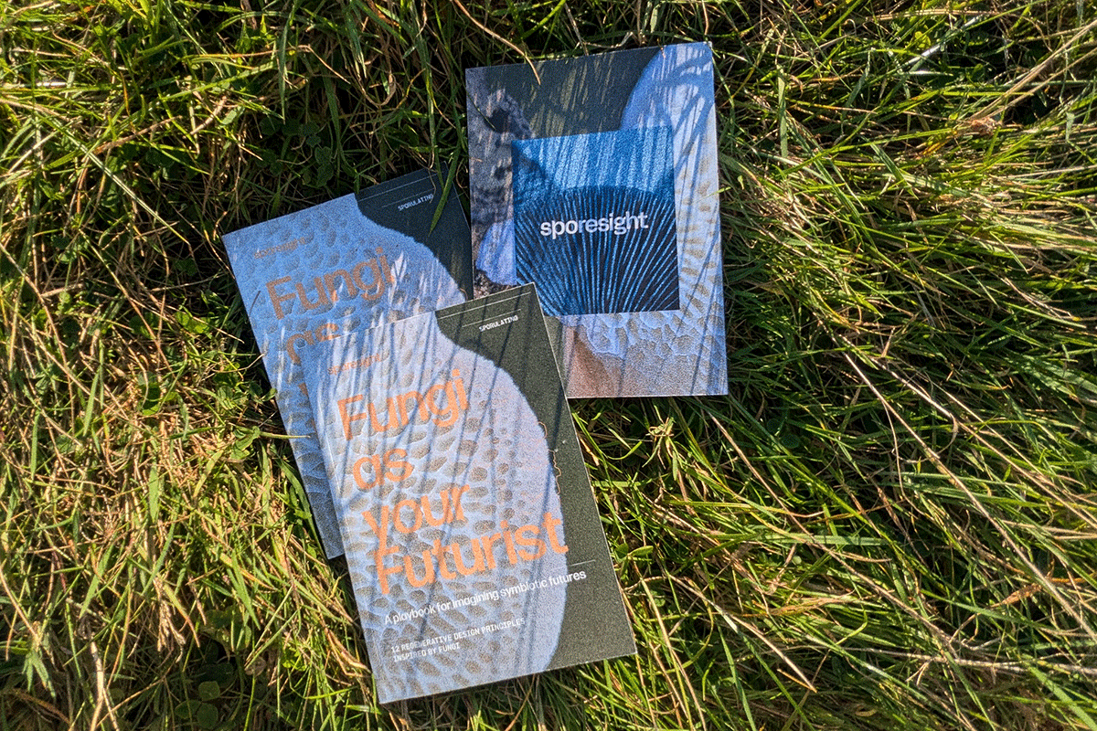Fayf-zine-in-grass.png