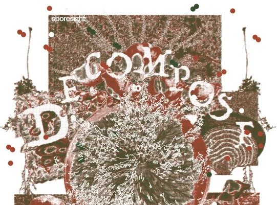 Decompose screen printed on canvas.