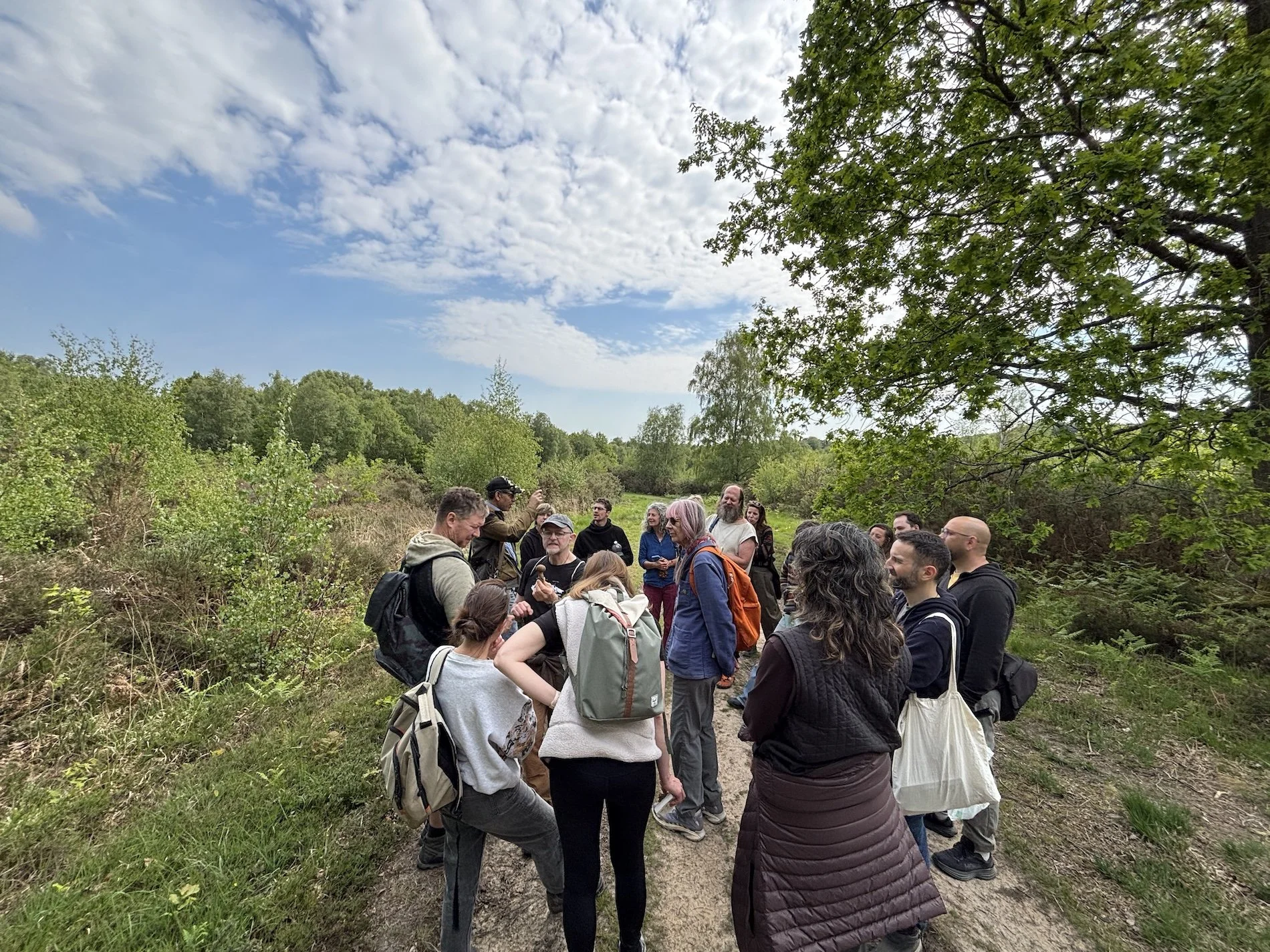 A group of walkers gather around Adi Staempfli as he describes a forages mushroom.