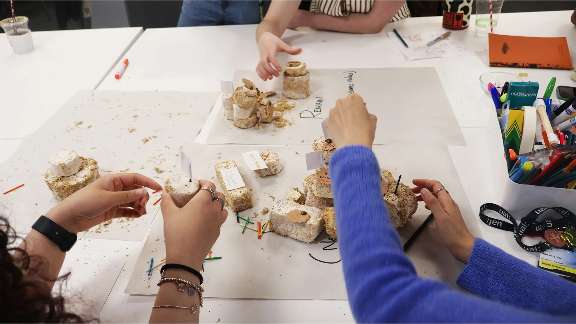 Three arms of students reach into the workshop table for a 'rot or remain' exercise.