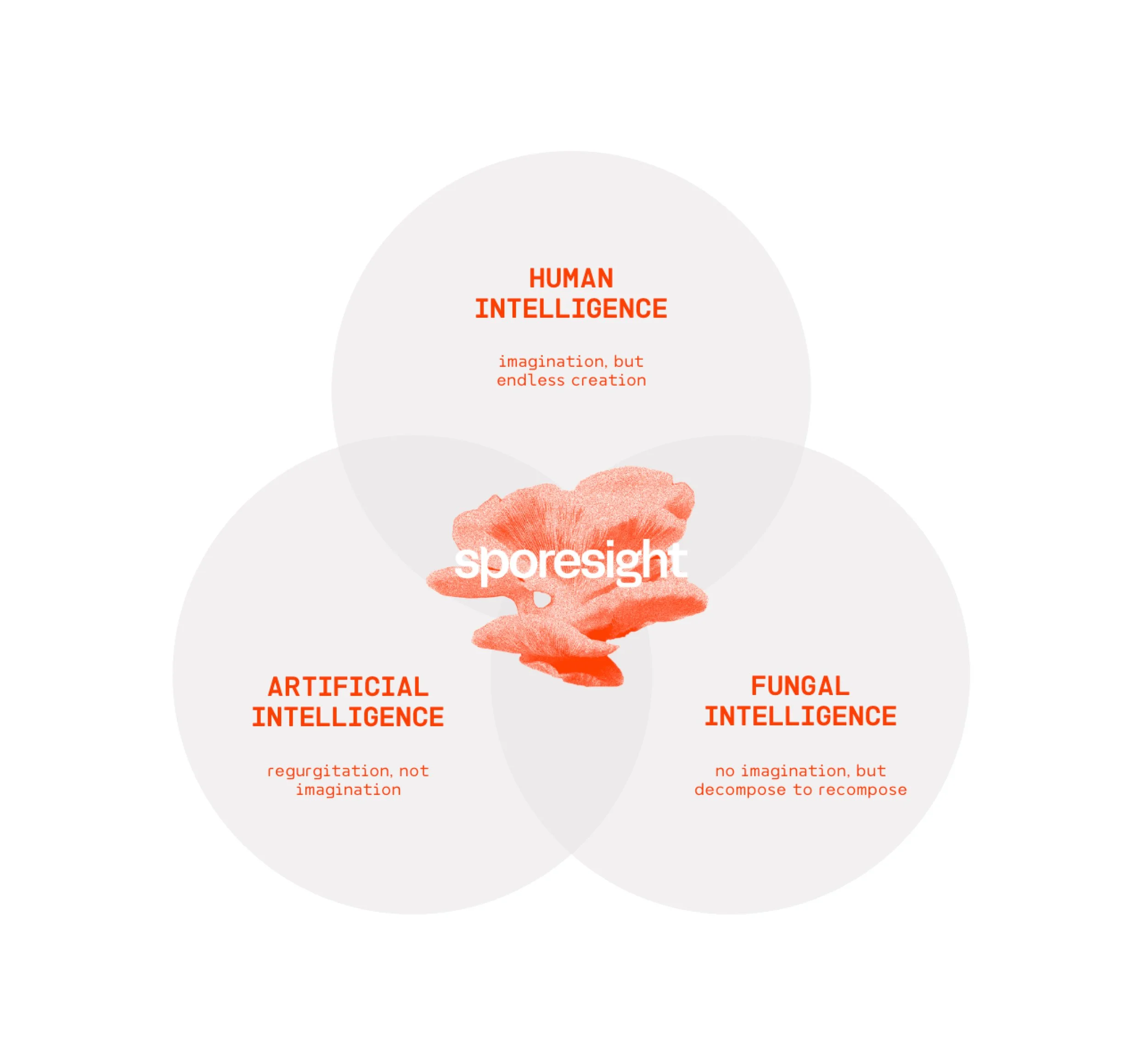 Venn diagram: human intelligence x artificial intelligence x fungal intelligence. Sporesight in the centre.