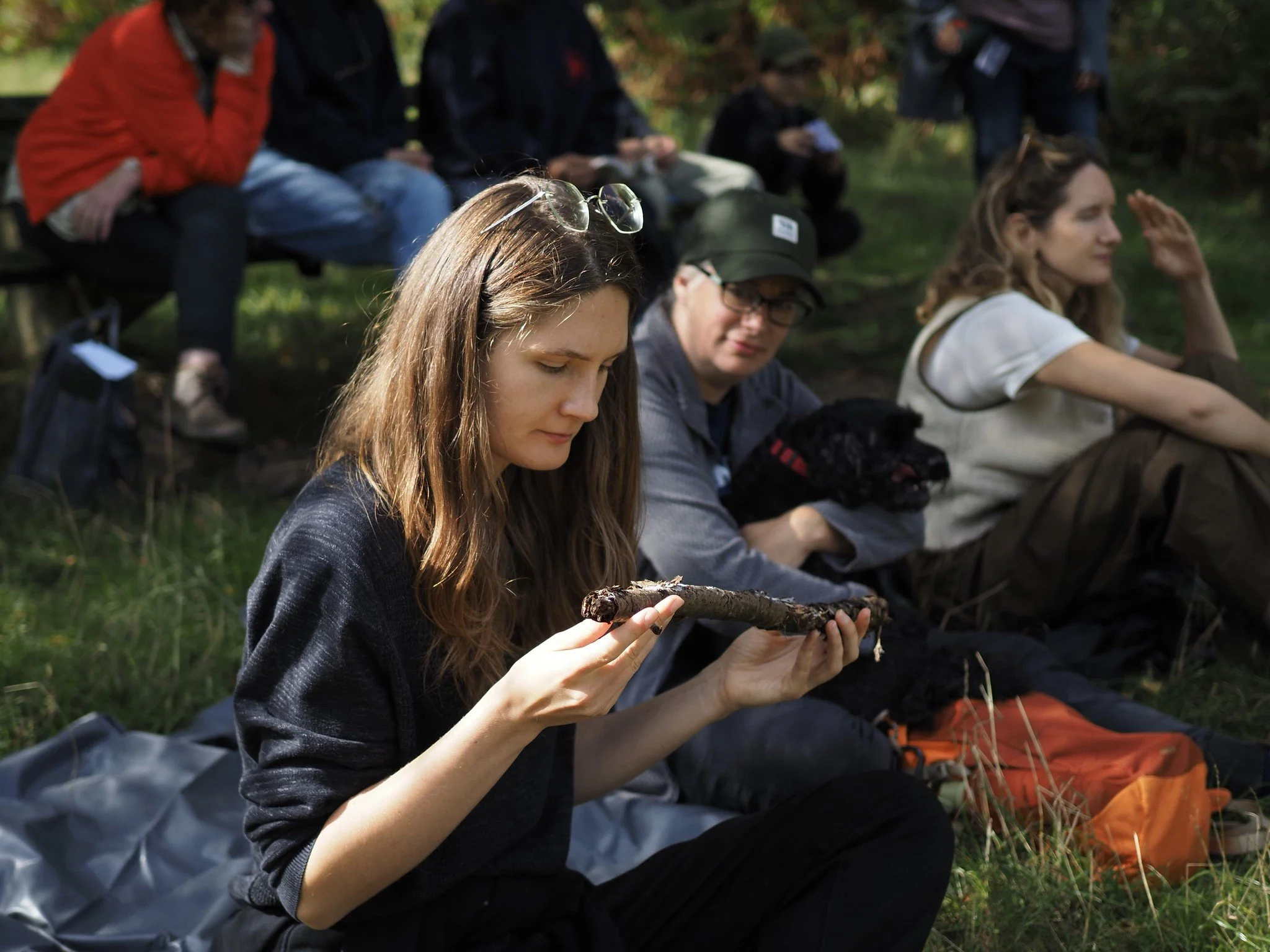 meeting mycelium in a rotting stick