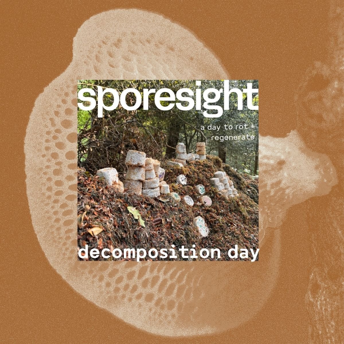 Sporesight decomposition day flyer