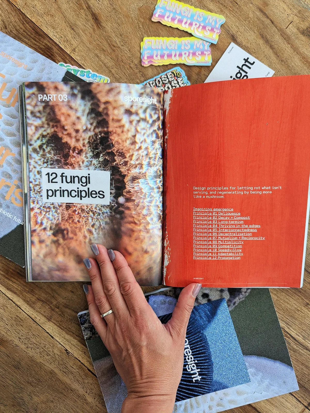Fungi as Your Futurist zine