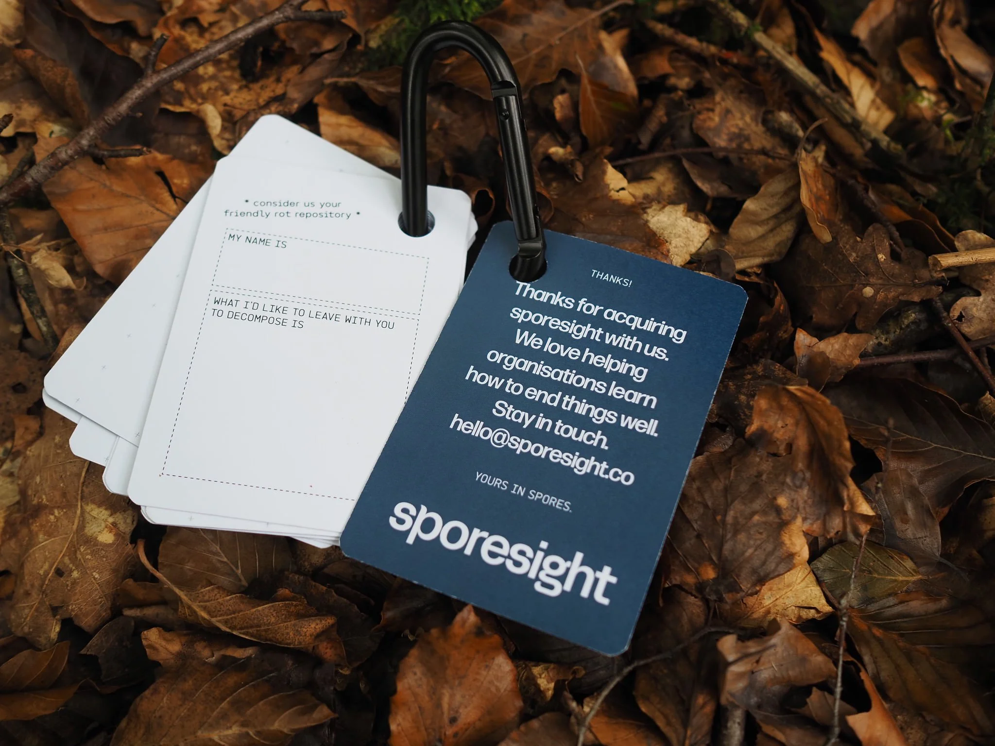 Sporesight merch: a take-home carabiner with prompt cards, resting in the leaves.