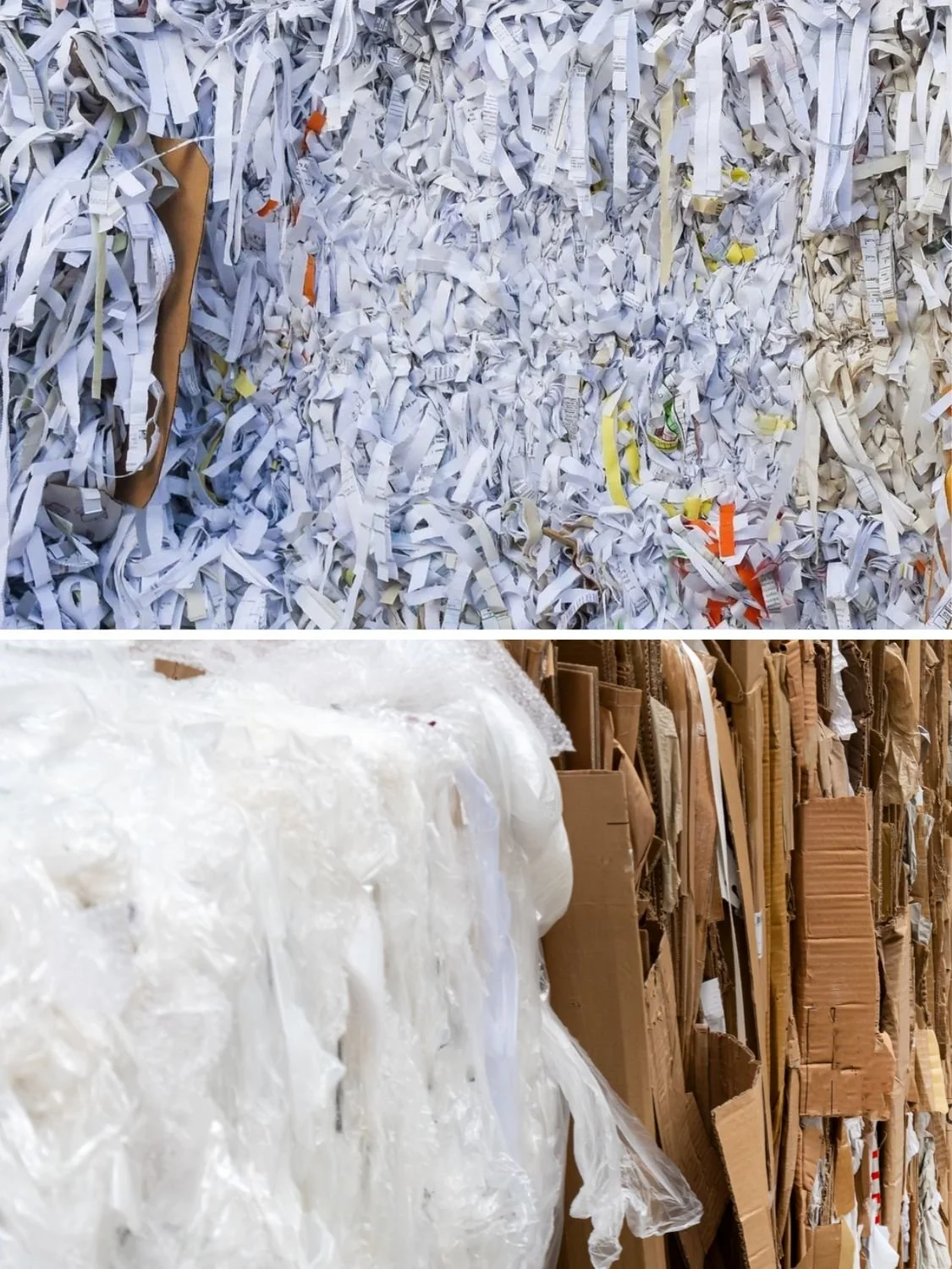 Paper and Plastic Recycling_Olympic Recycling Corp.jpg