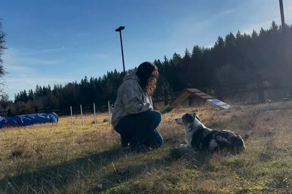 A woman kneeling in a grassy field training an attentive dog lying on the ground. The background shows a clear blue sky, trees, and some agility equipment.