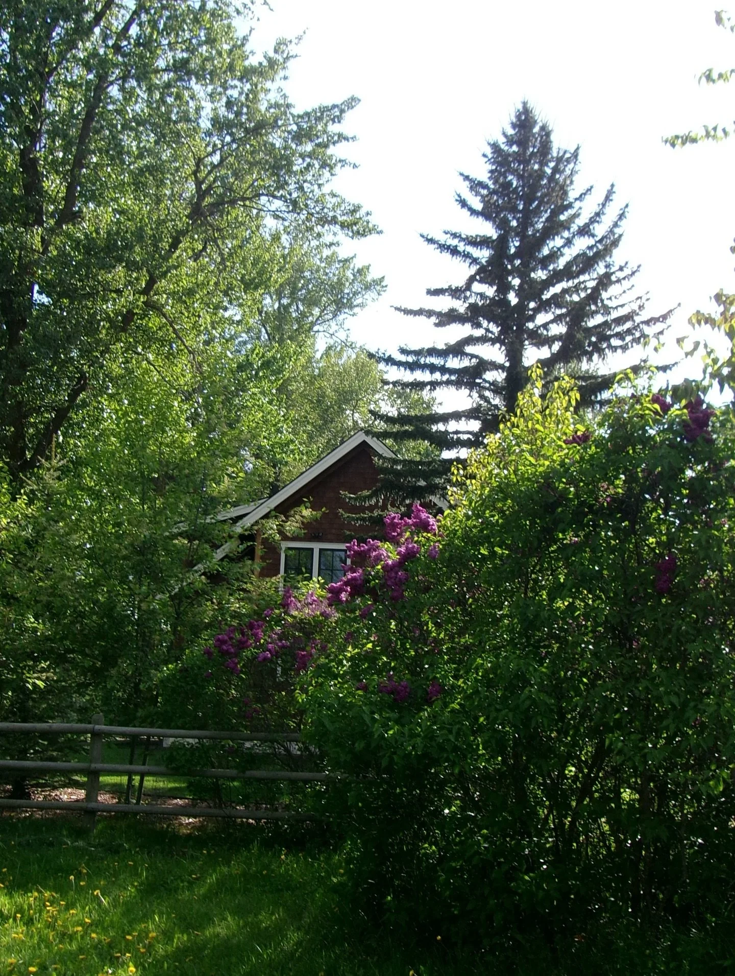 a montana cottage🫶🫶