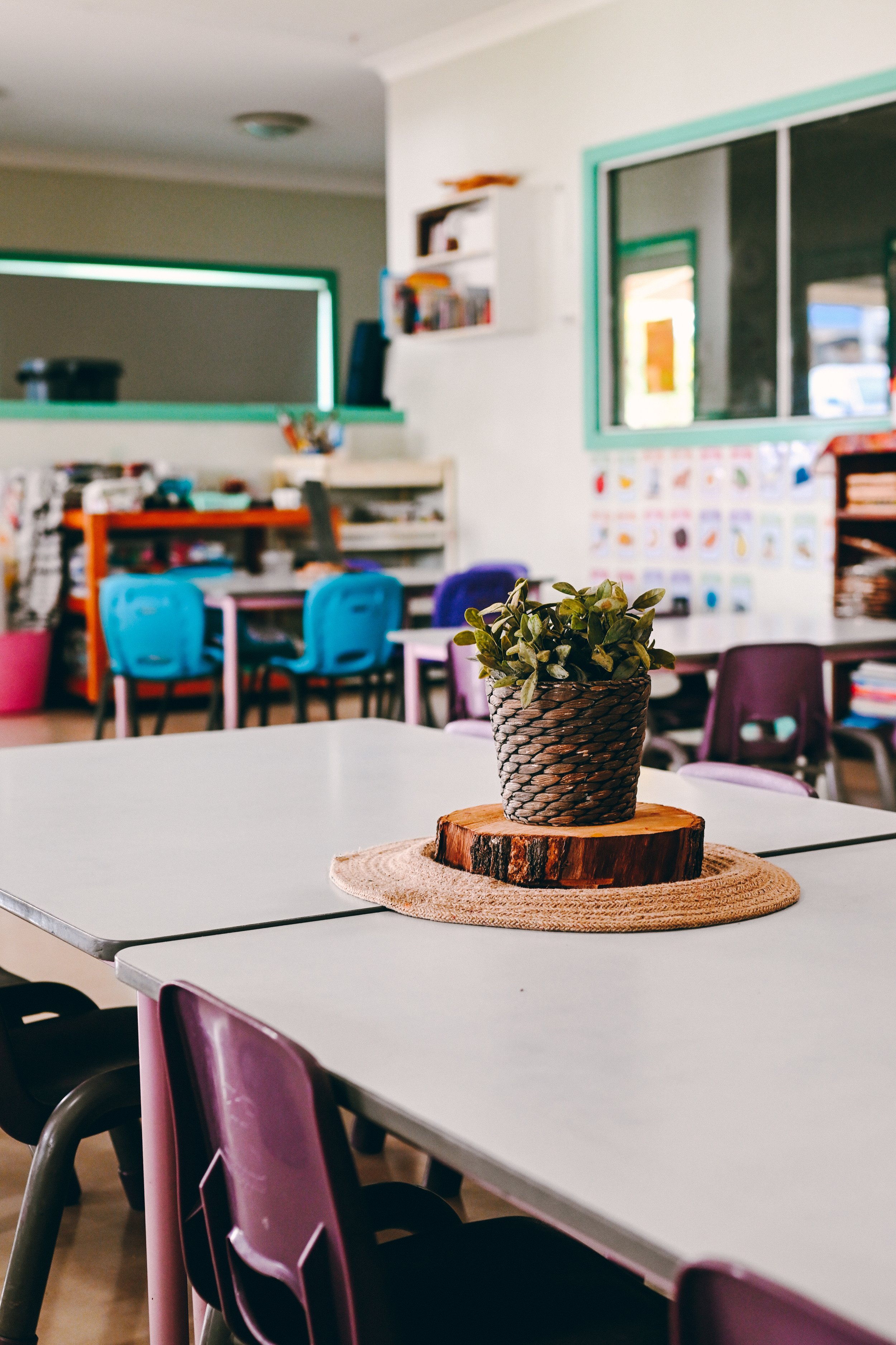 Classroom with tables, colorful chairs, and a potted plant centerpiece