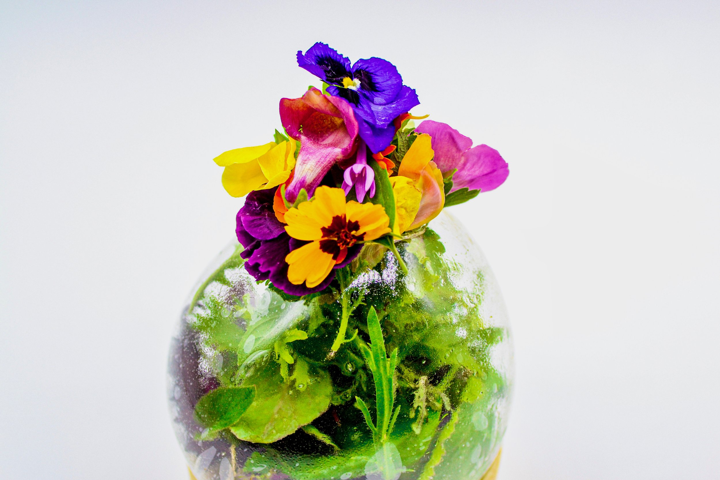 Seasonal salad served in an edible non-sweet caramel bowl — a creative presentation by Chris Quirós combining vegetal freshness with sculptural plating.